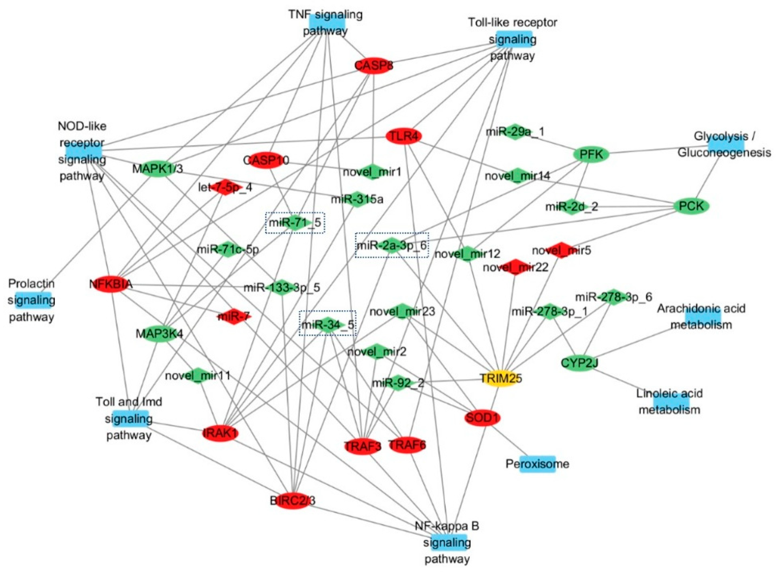 Animals 15 02955 g008 Animals 15 02955 g008