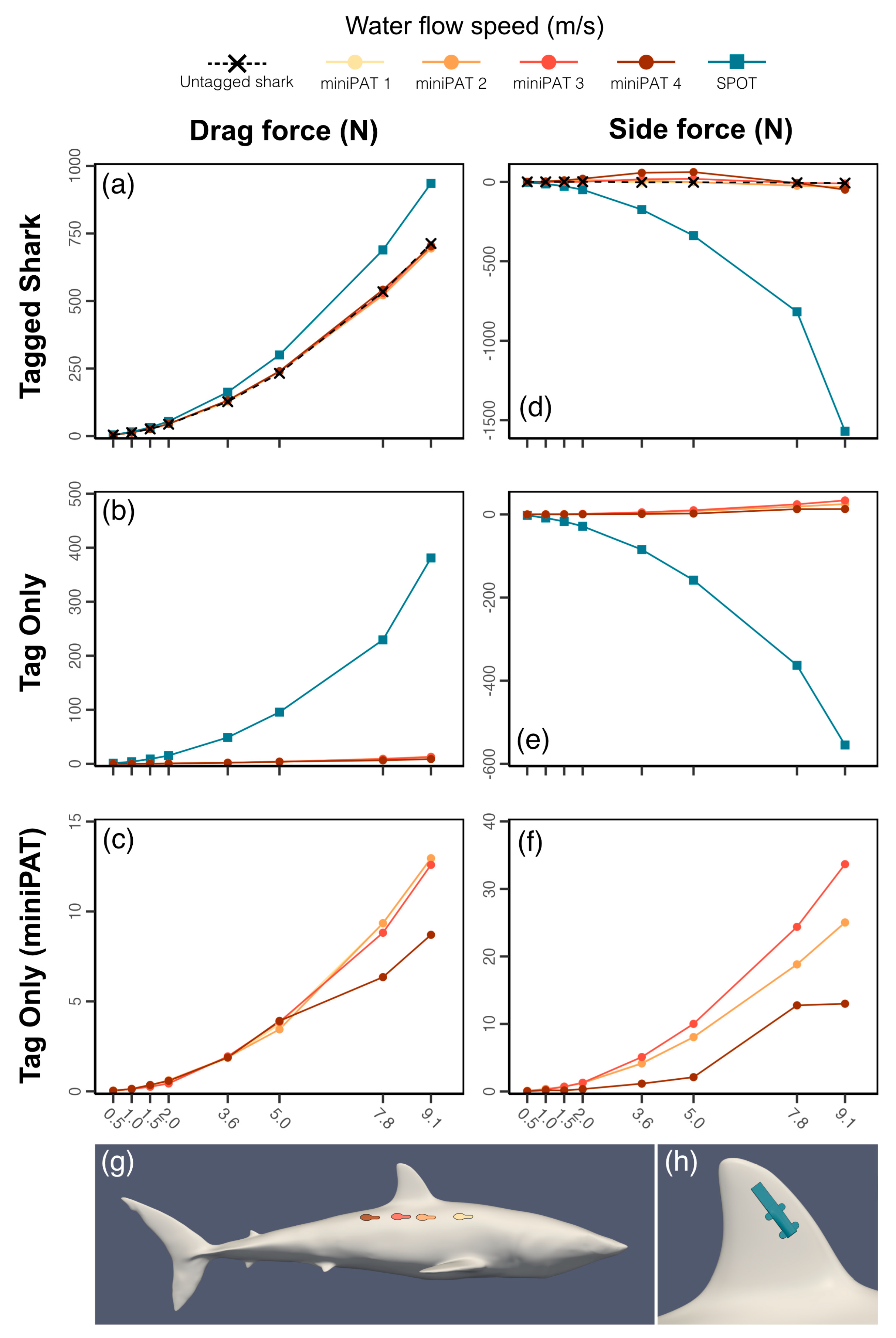 Animals 15 02956 g002