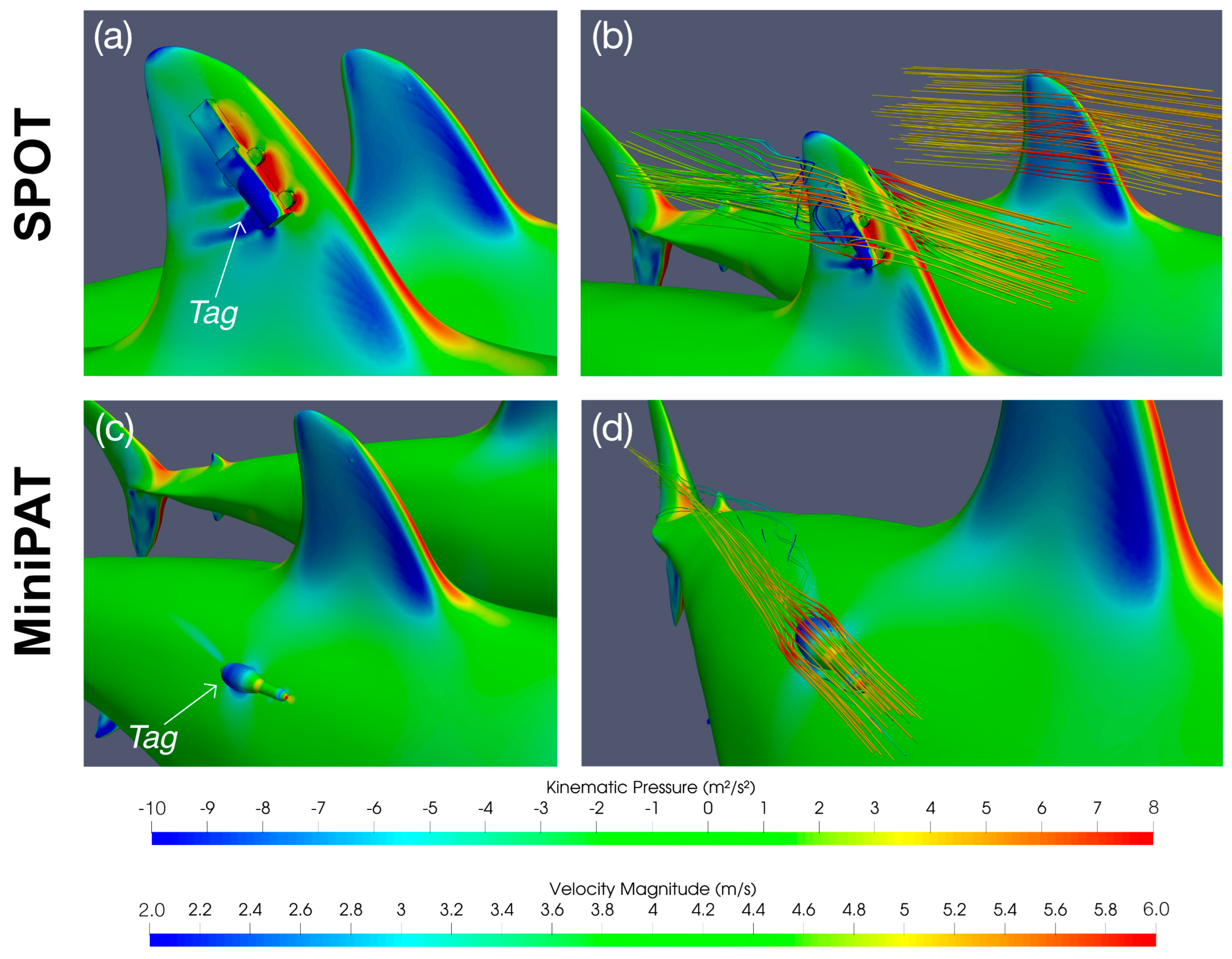 Animals 15 02956 g003