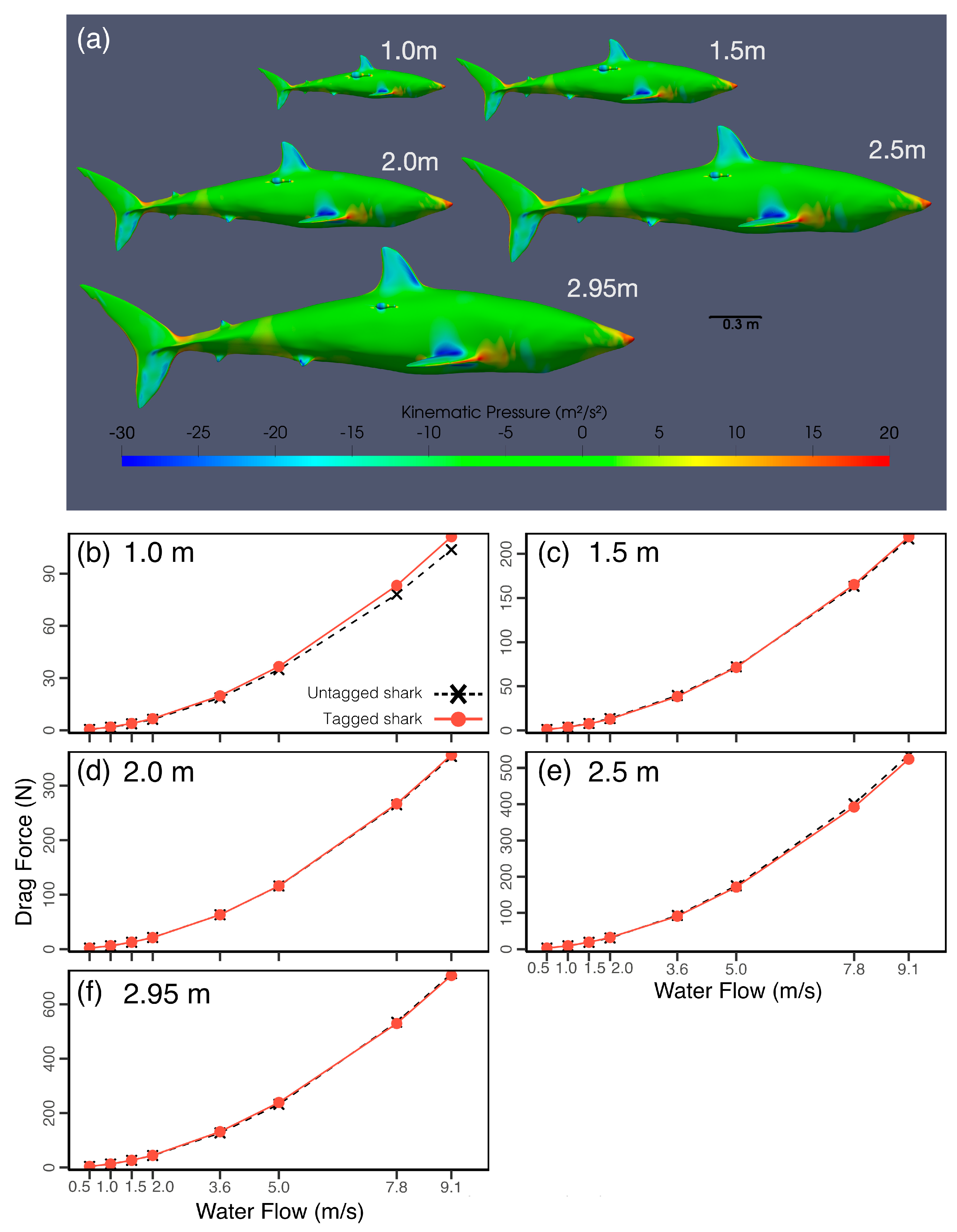 Animals 15 02956 g004
