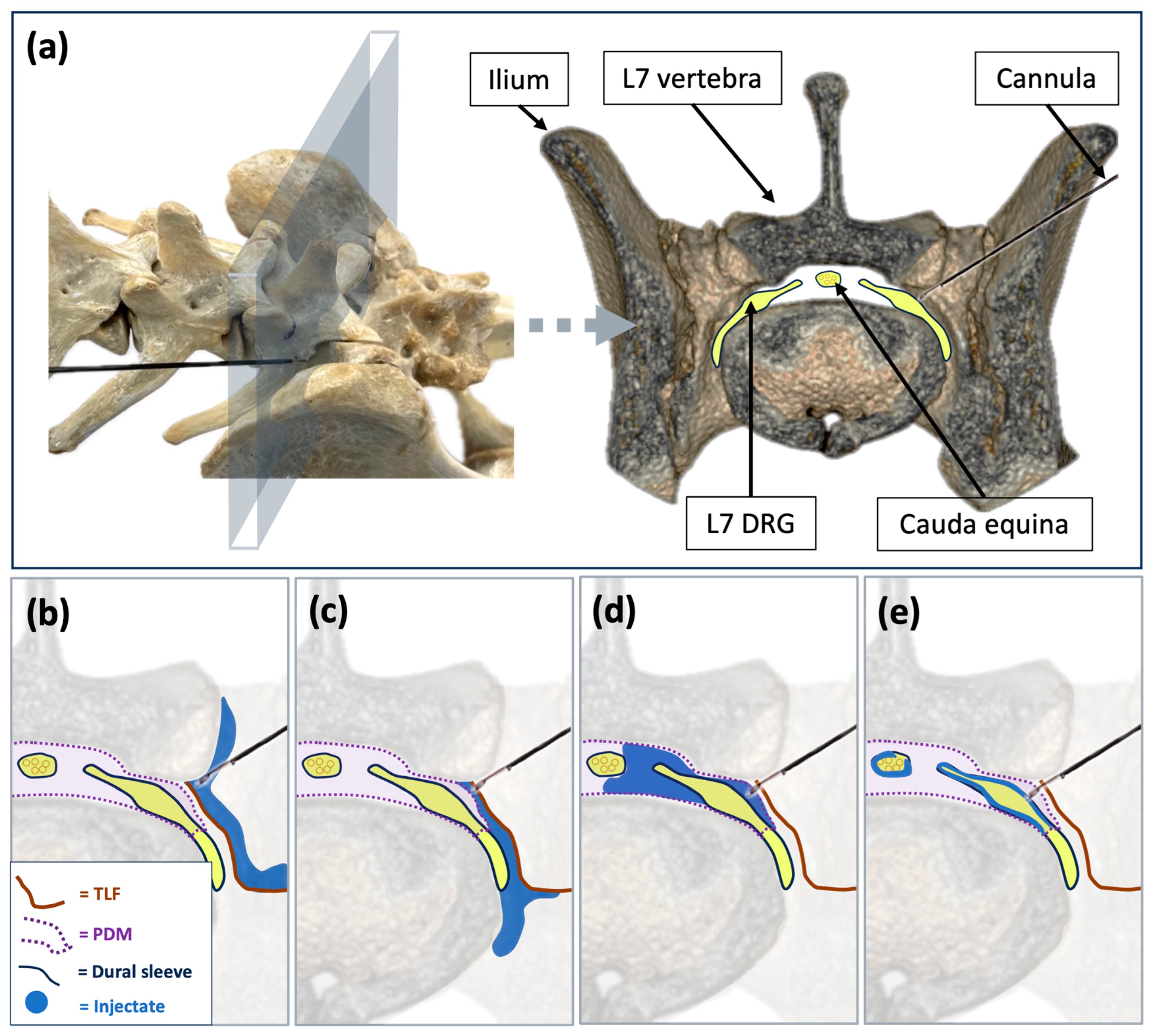 Animals 15 02958 g001 Animals 15 02958 g001