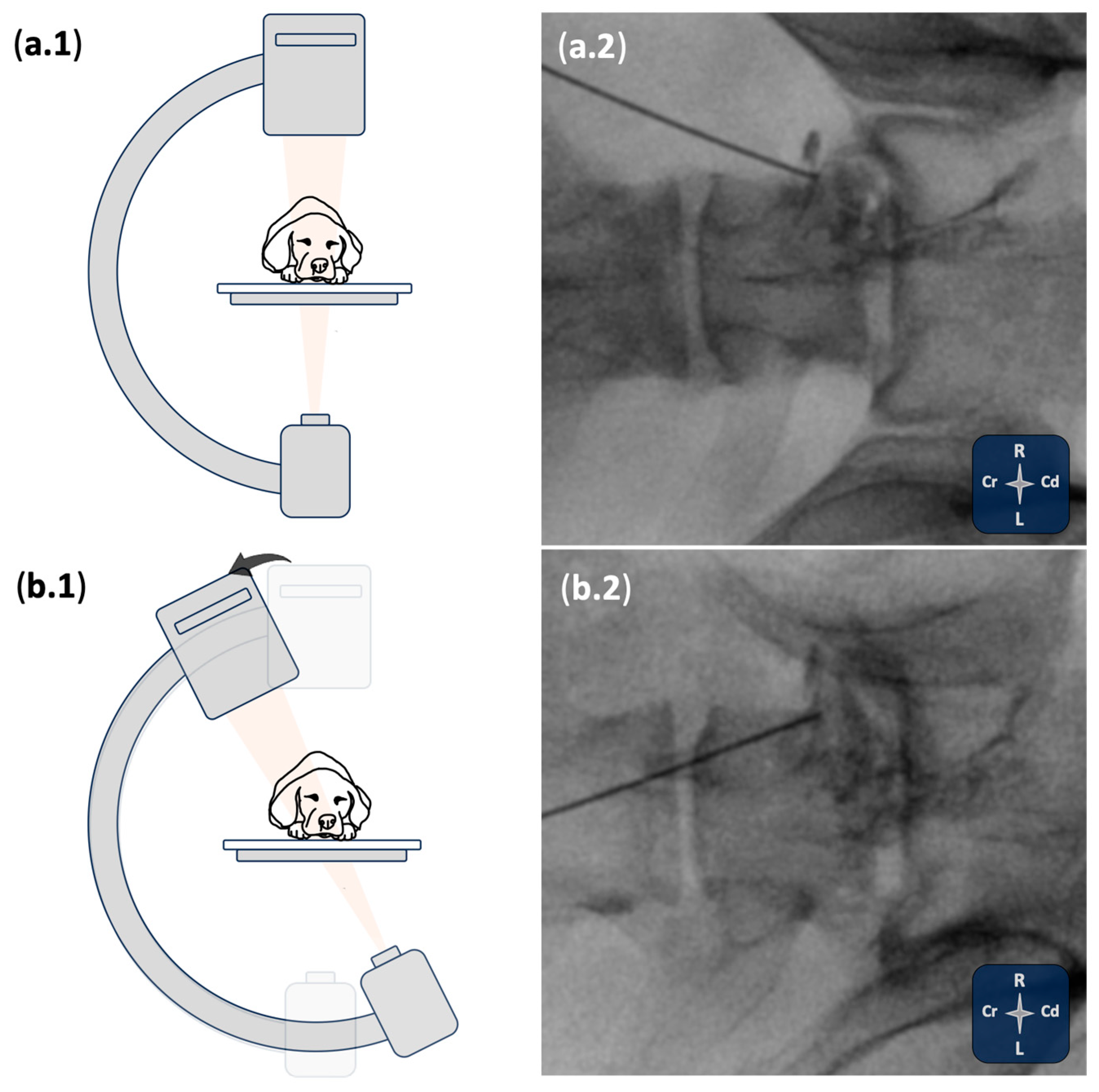 Animals 15 02958 g002 Animals 15 02958 g002