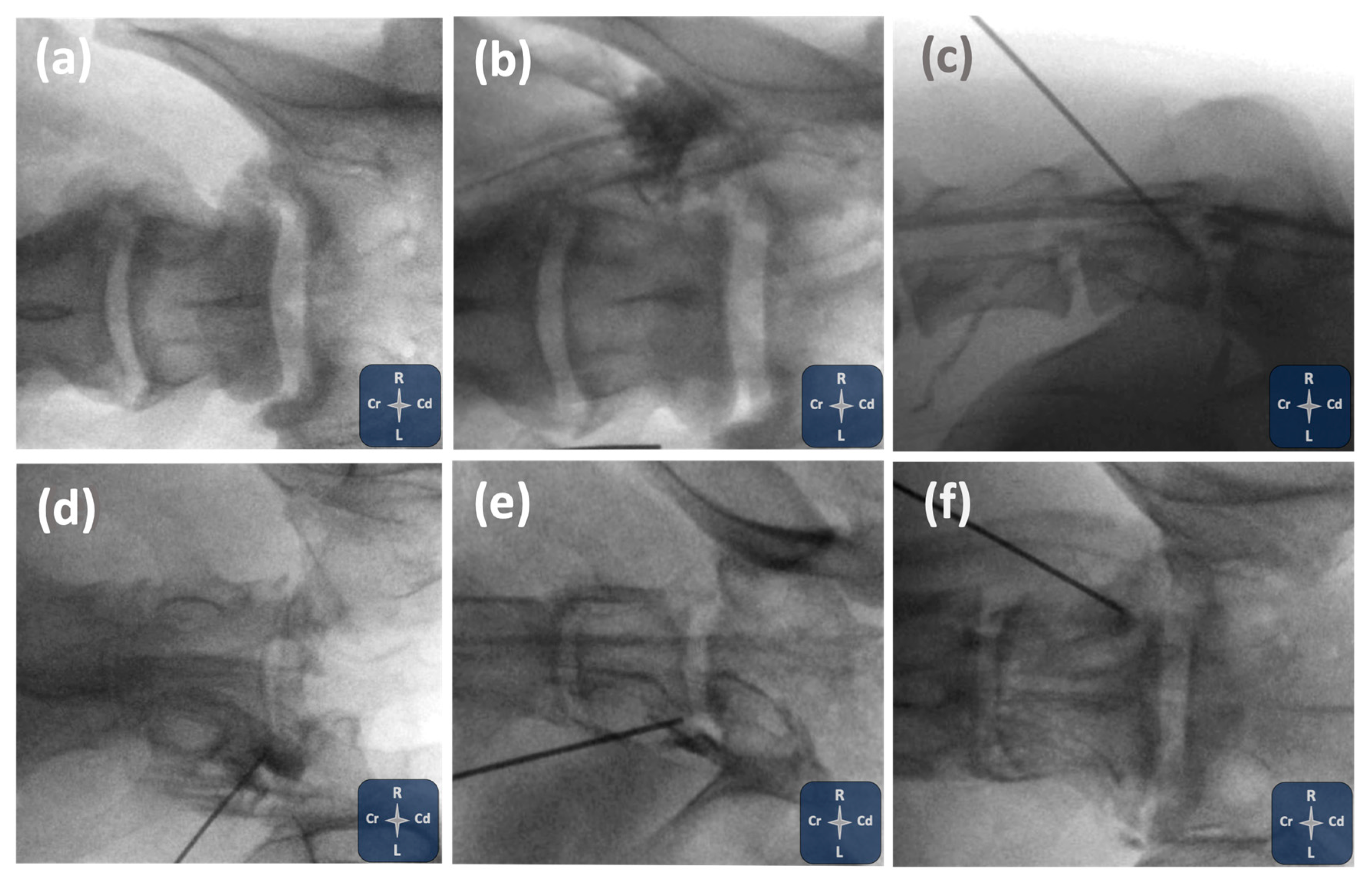 Animals 15 02958 g003 Animals 15 02958 g003