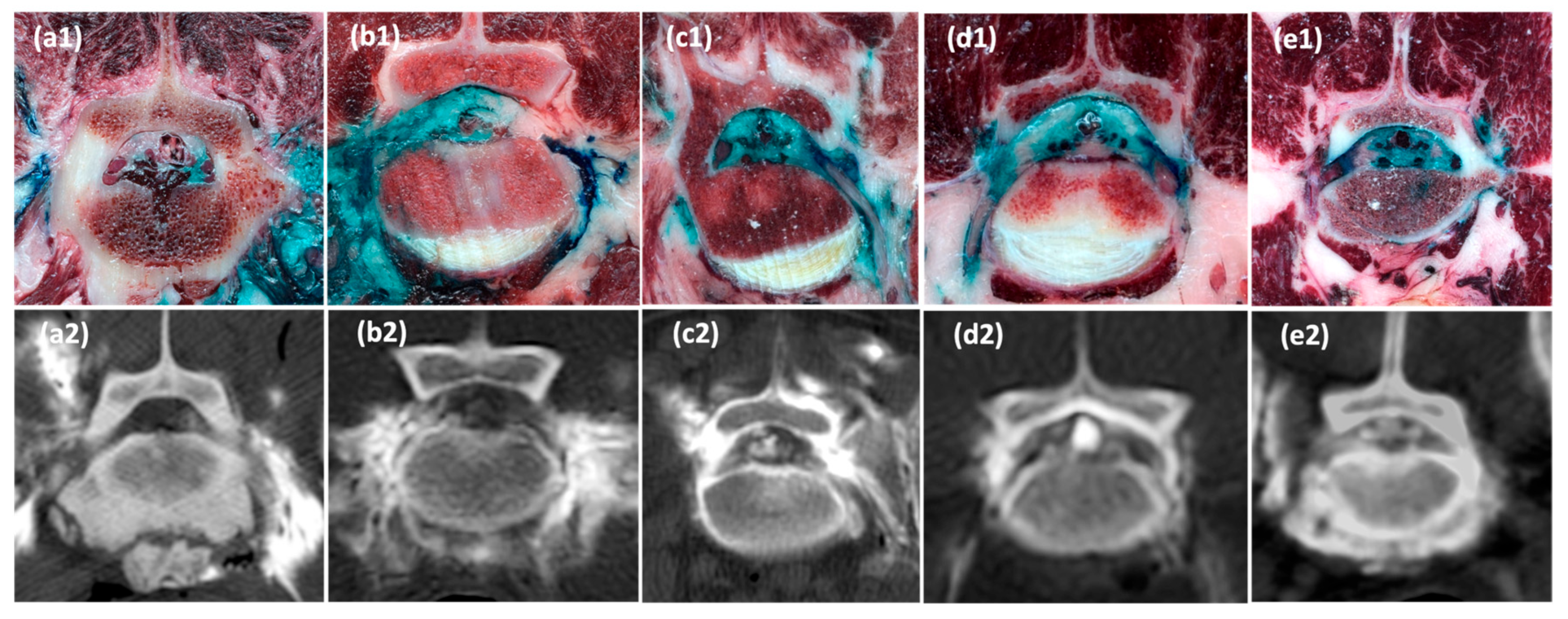 Animals 15 02958 g004 Animals 15 02958 g004