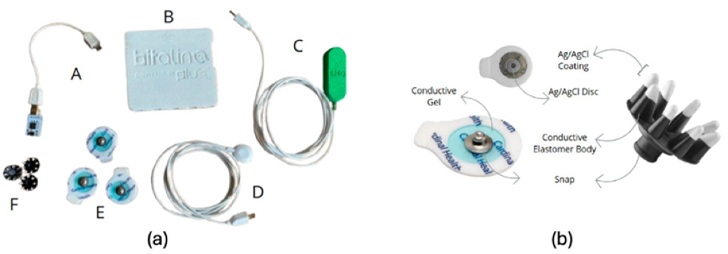 Animals 15 02959 g001