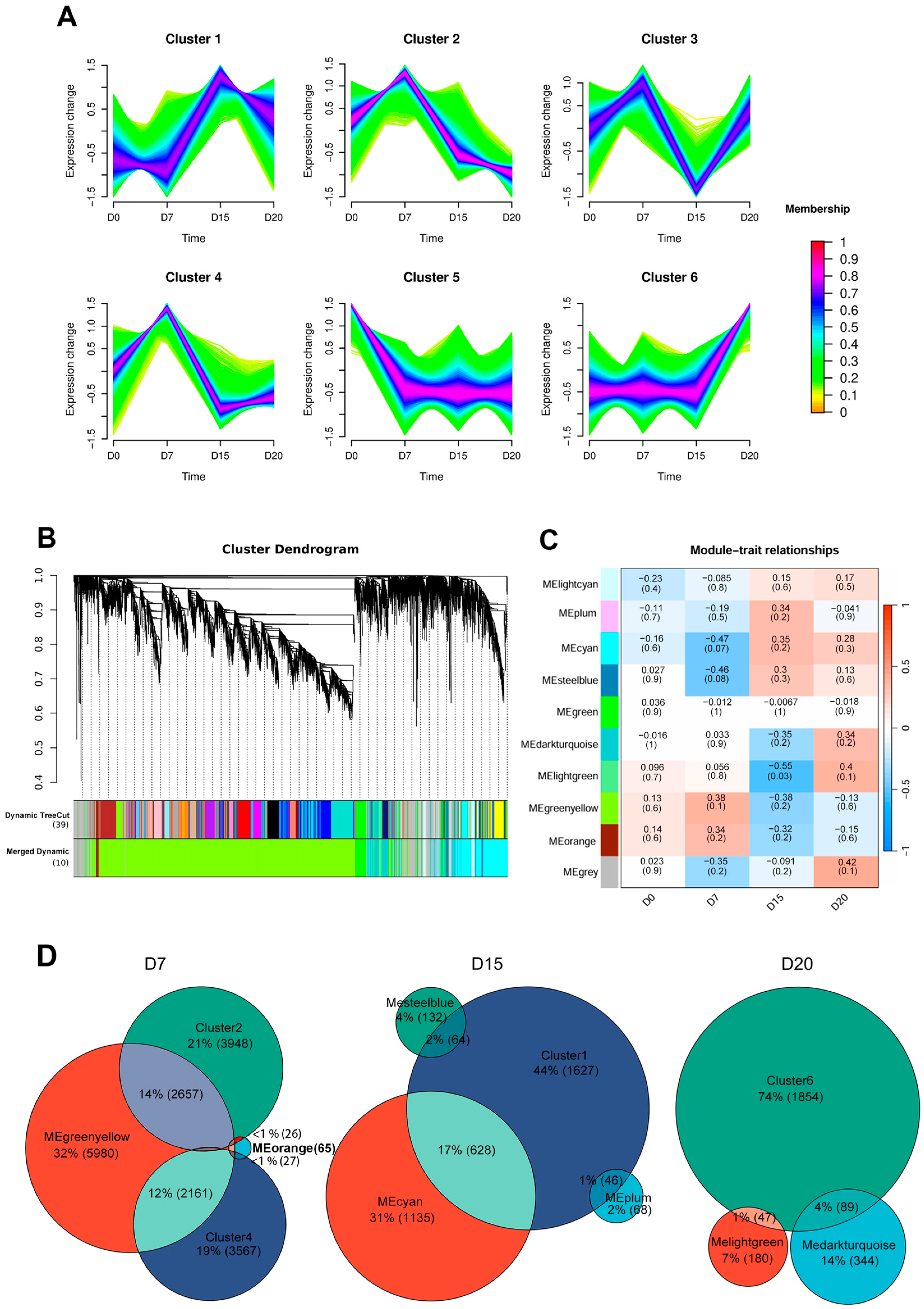 Animals 15 02960 g002