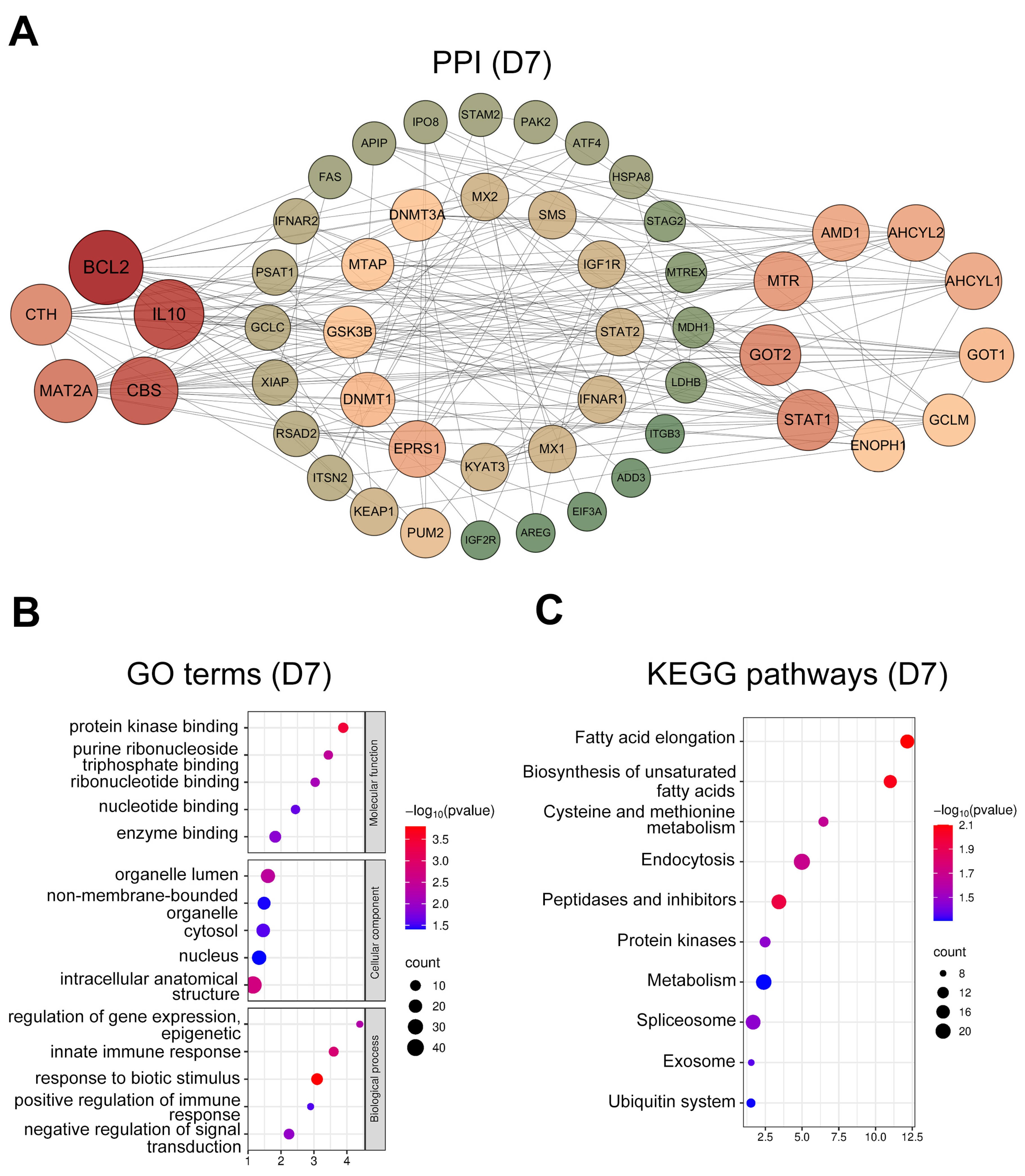 Animals 15 02960 g003