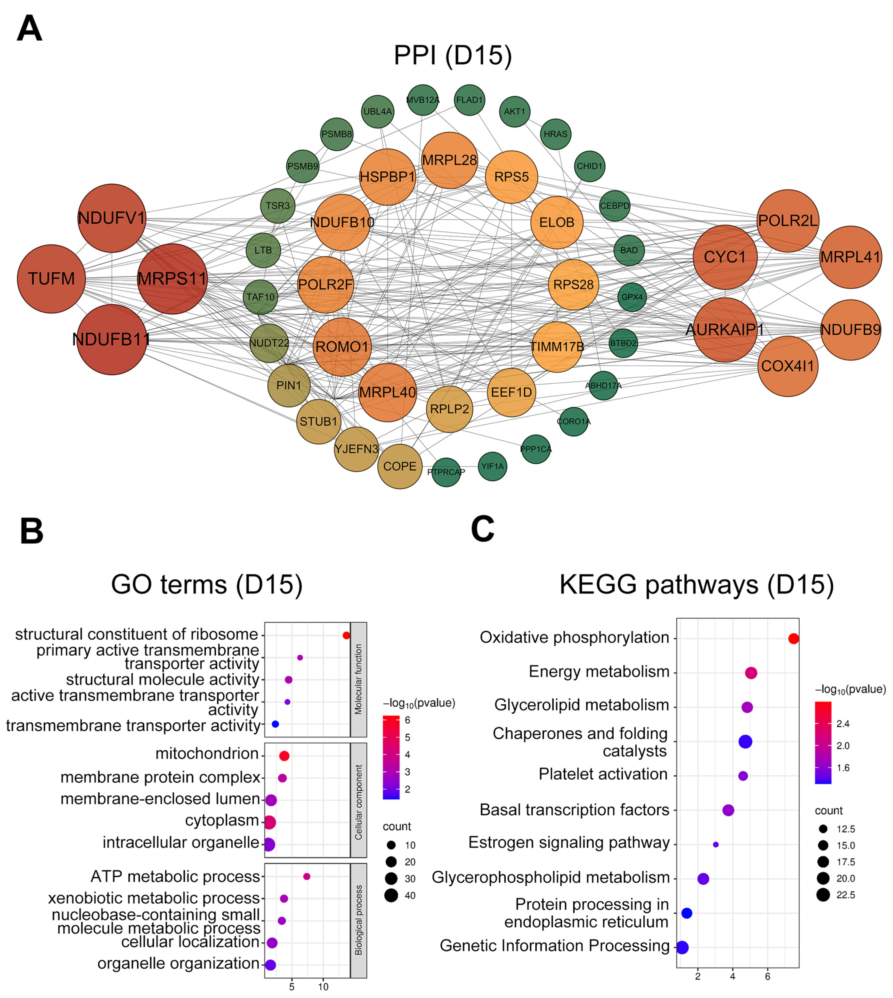 Animals 15 02960 g004