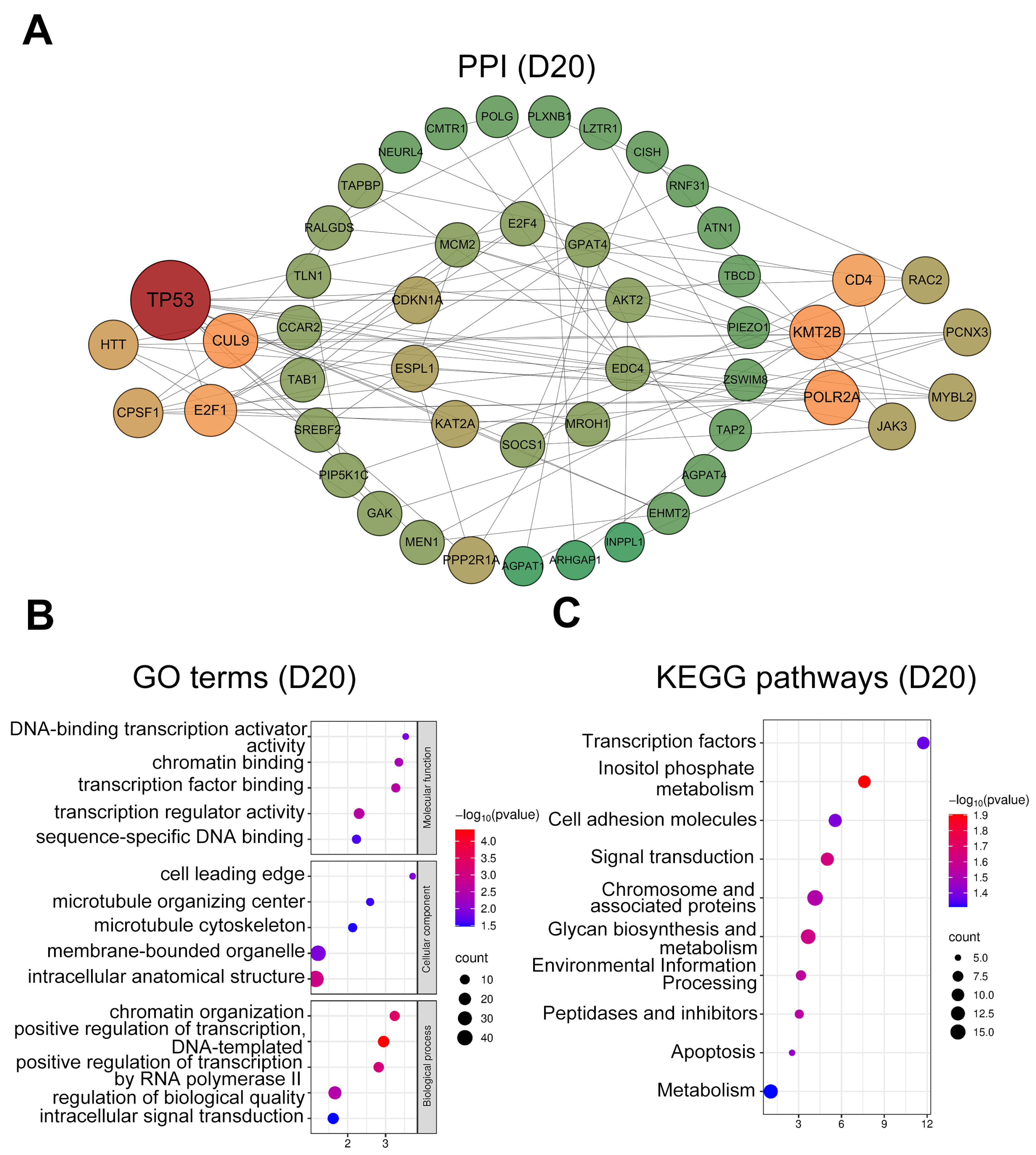 Animals 15 02960 g005
