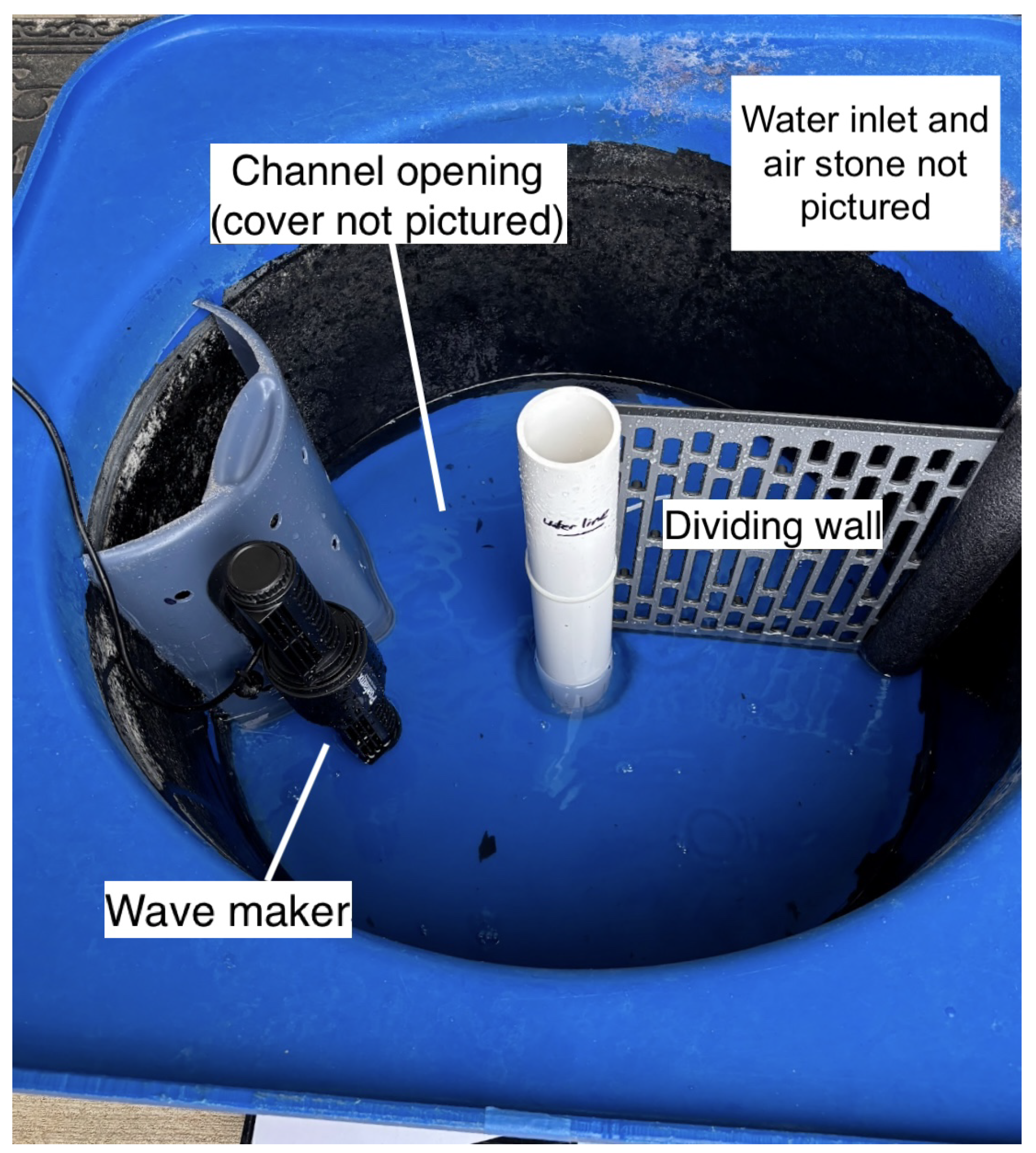 Animals 15 02961 g001