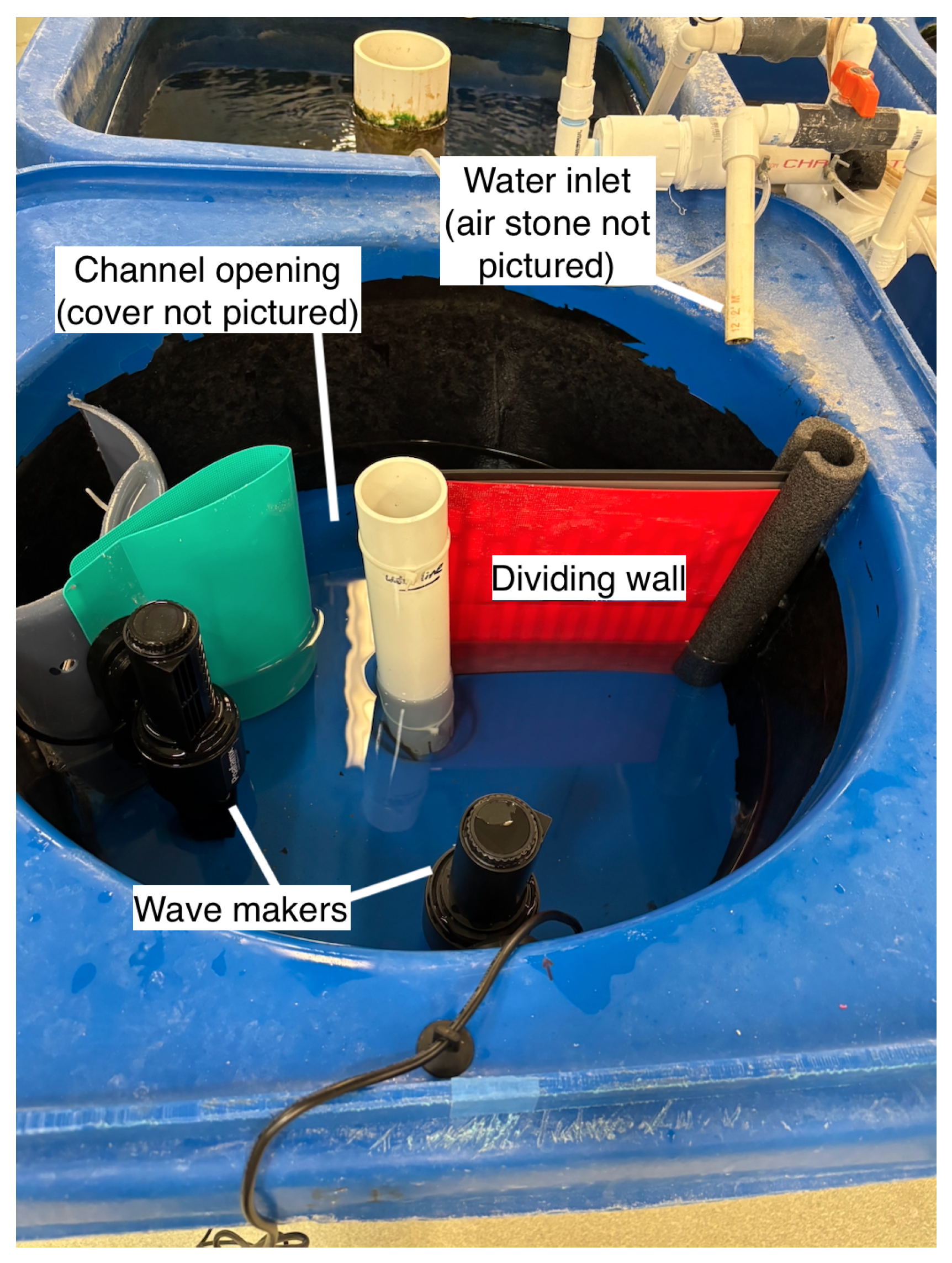 Animals 15 02961 g002