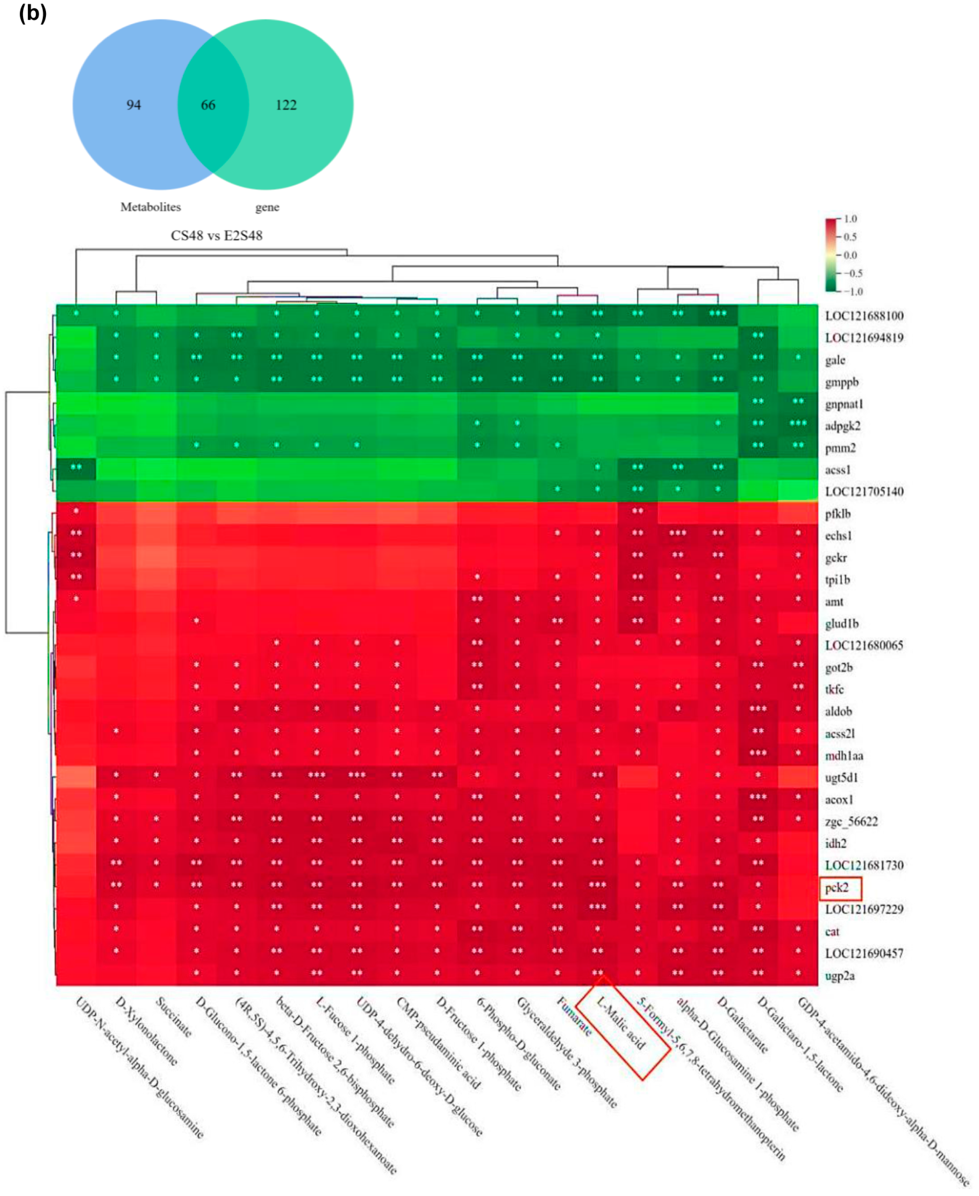 Animals 15 02962 g007b