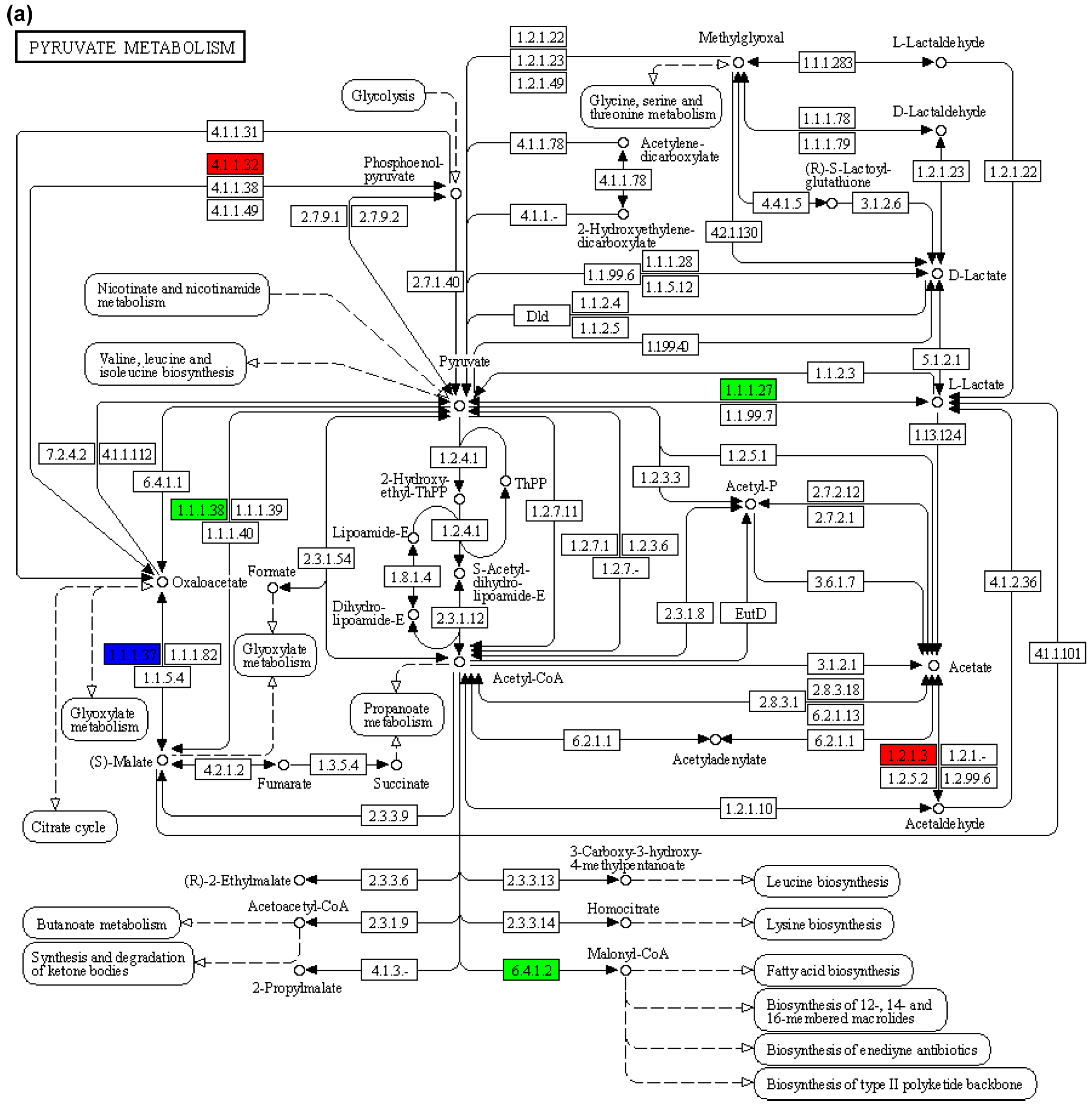 Animals 15 02962 g008a