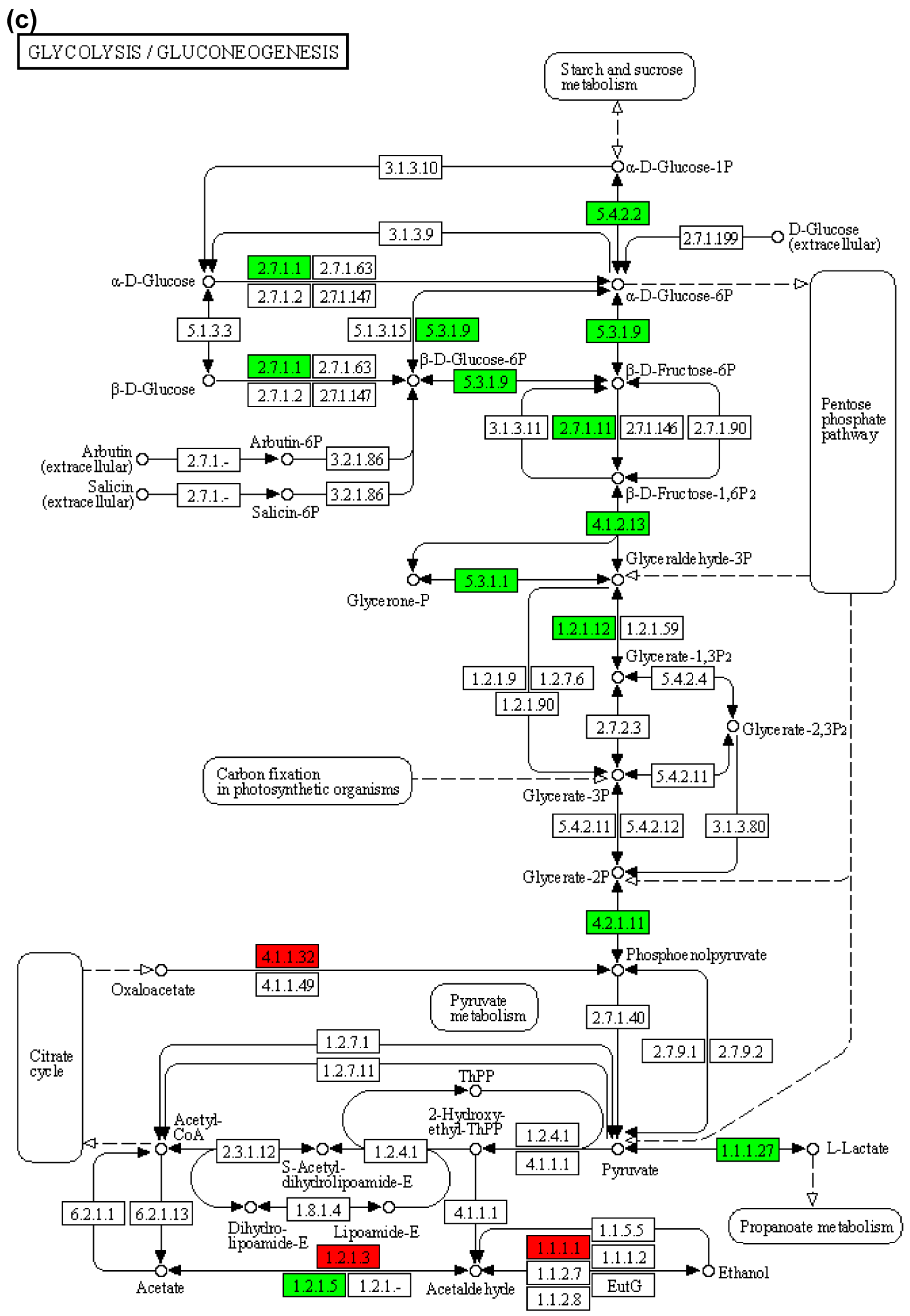 Animals 15 02962 g008c