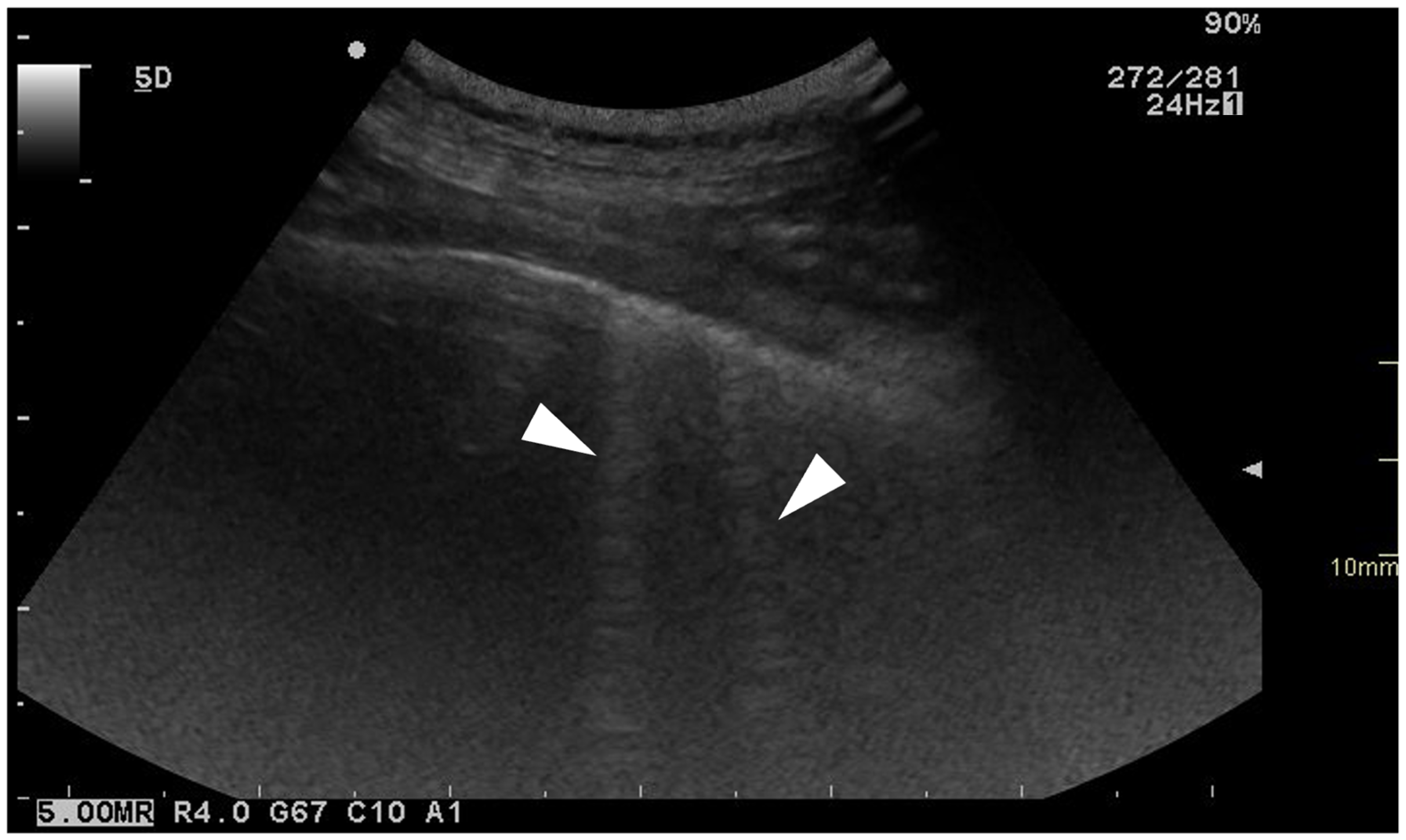 Animals 15 02964 g001