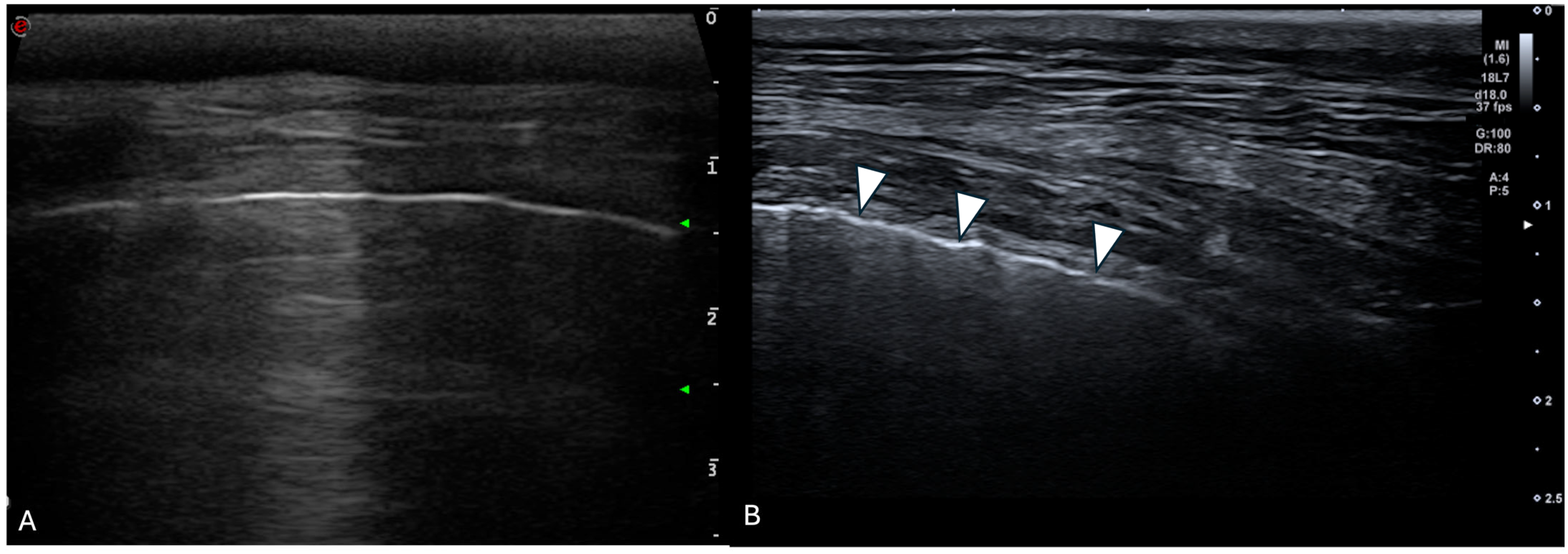 Animals 15 02964 g003