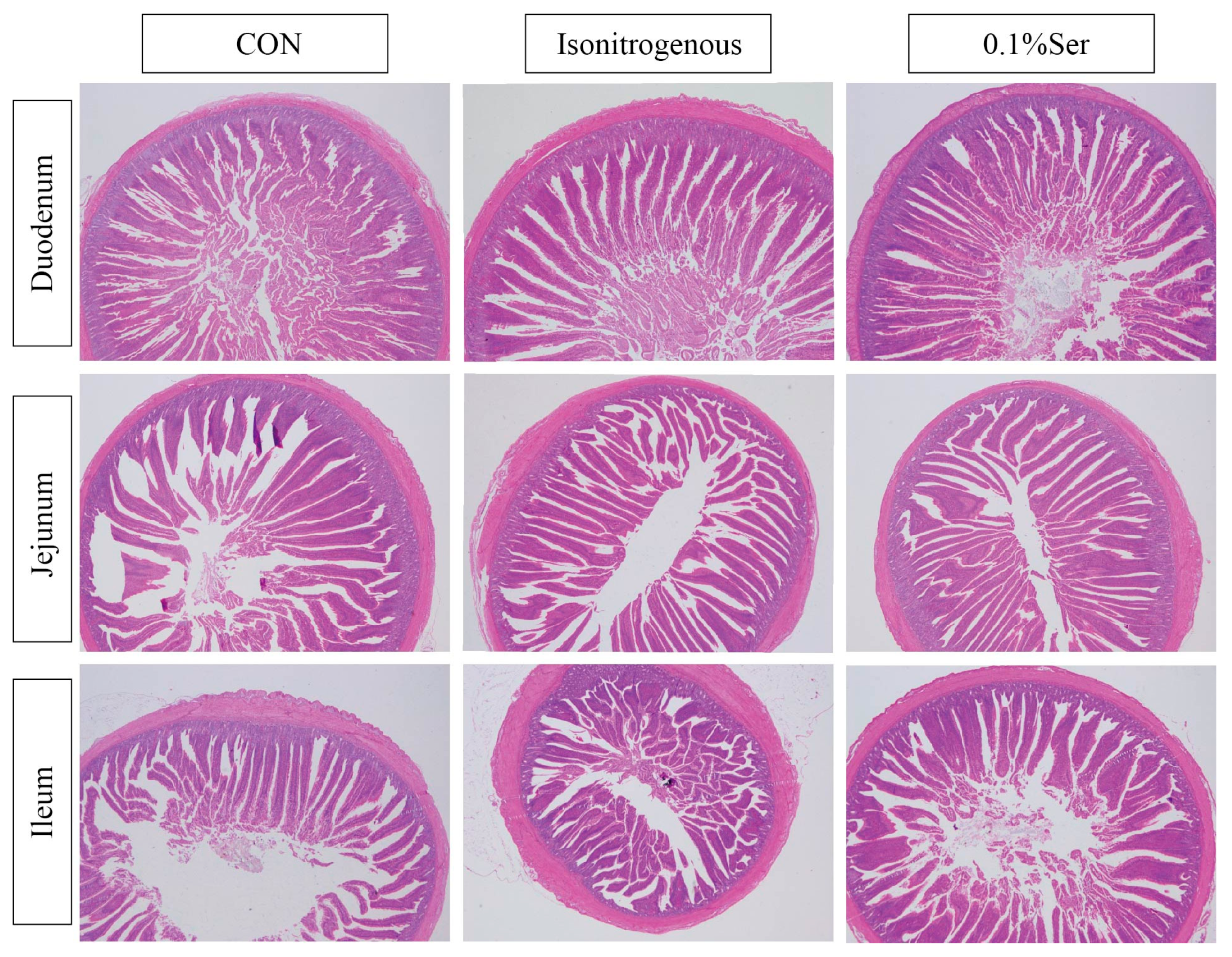 Animals 15 02965 g001