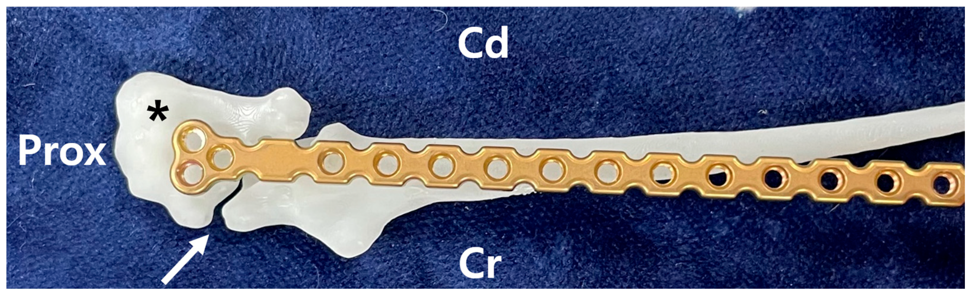 Animals 15 02968 g002