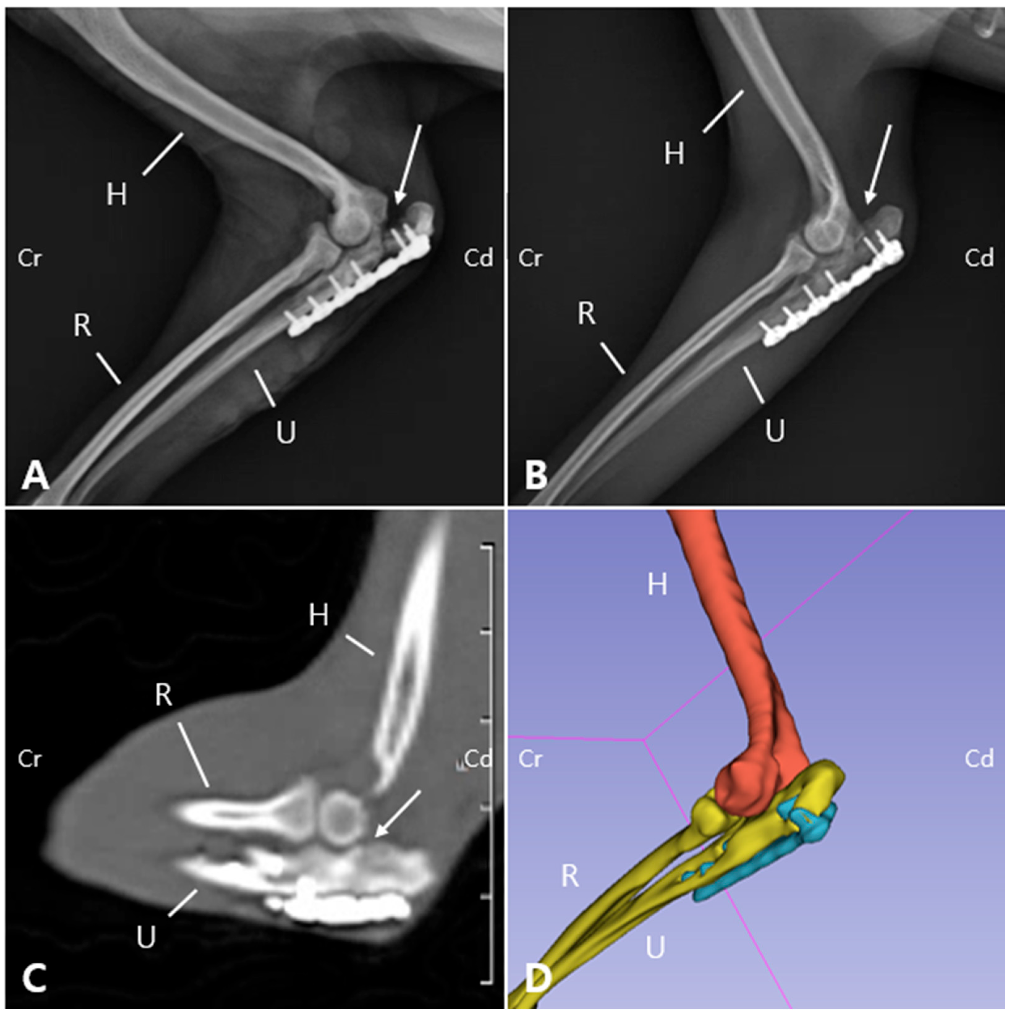 Animals 15 02968 g005