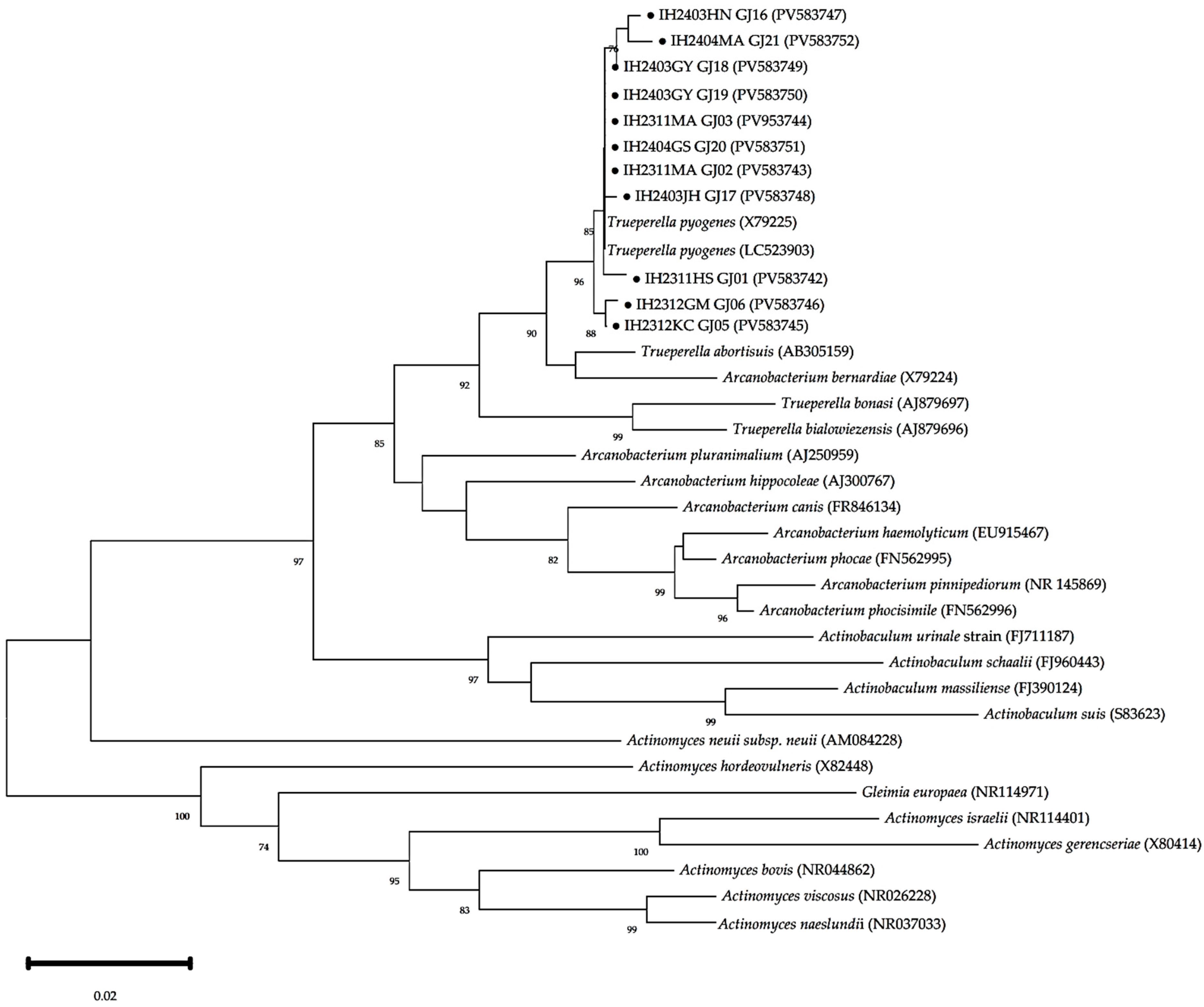 Animals 15 02970 g004 Animals 15 02970 g004