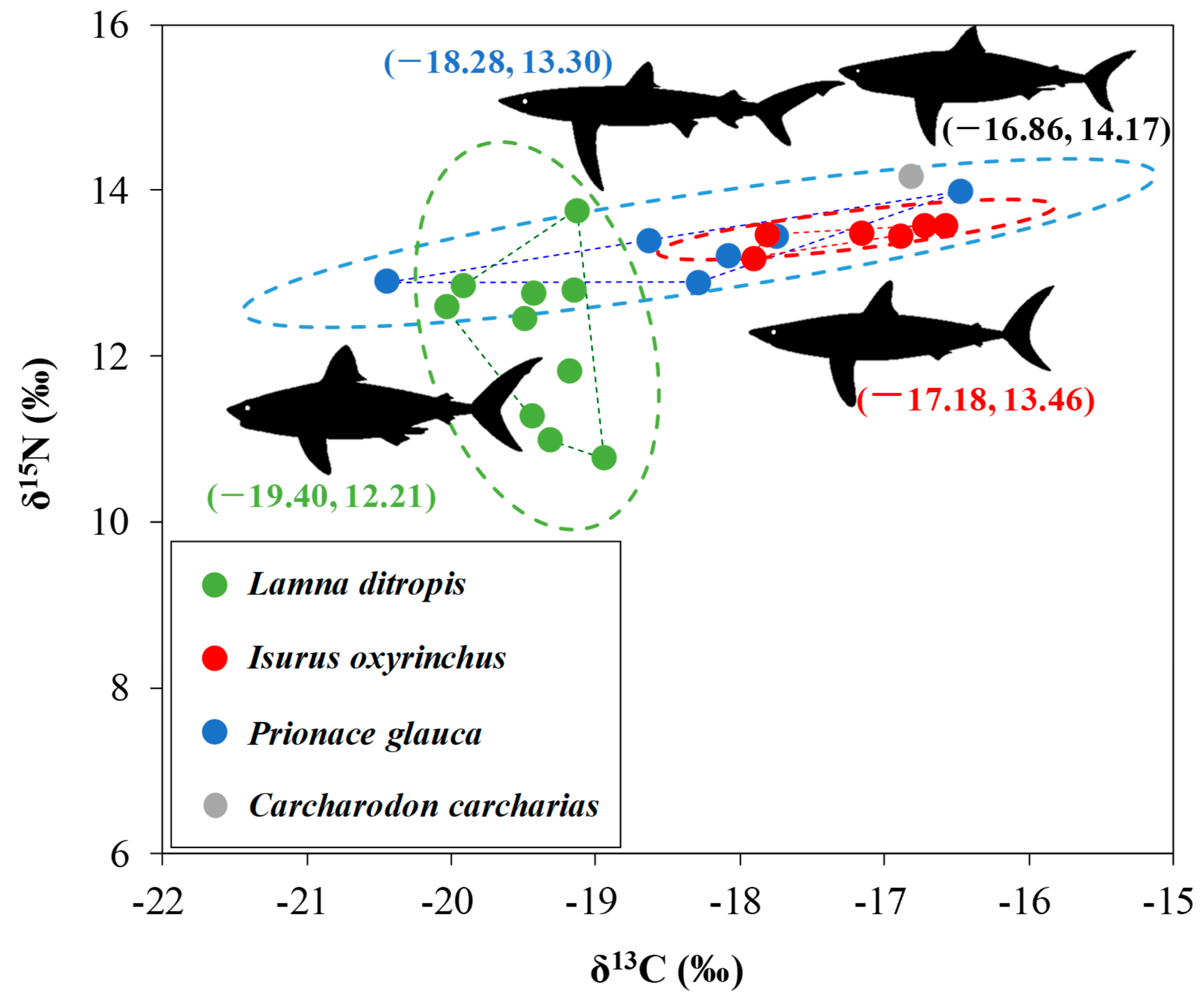 Animals 15 02974 g006 Animals 15 02974 g006