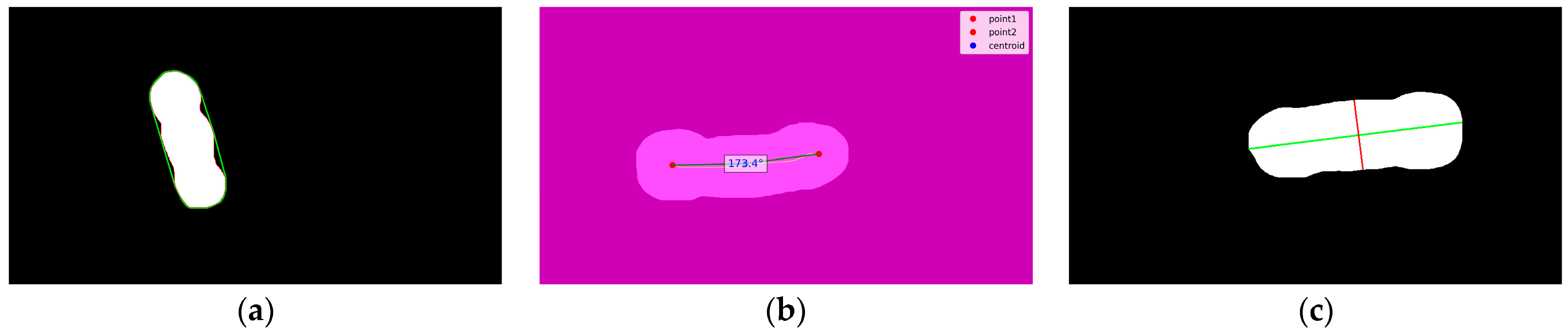 Animals 15 02975 g003