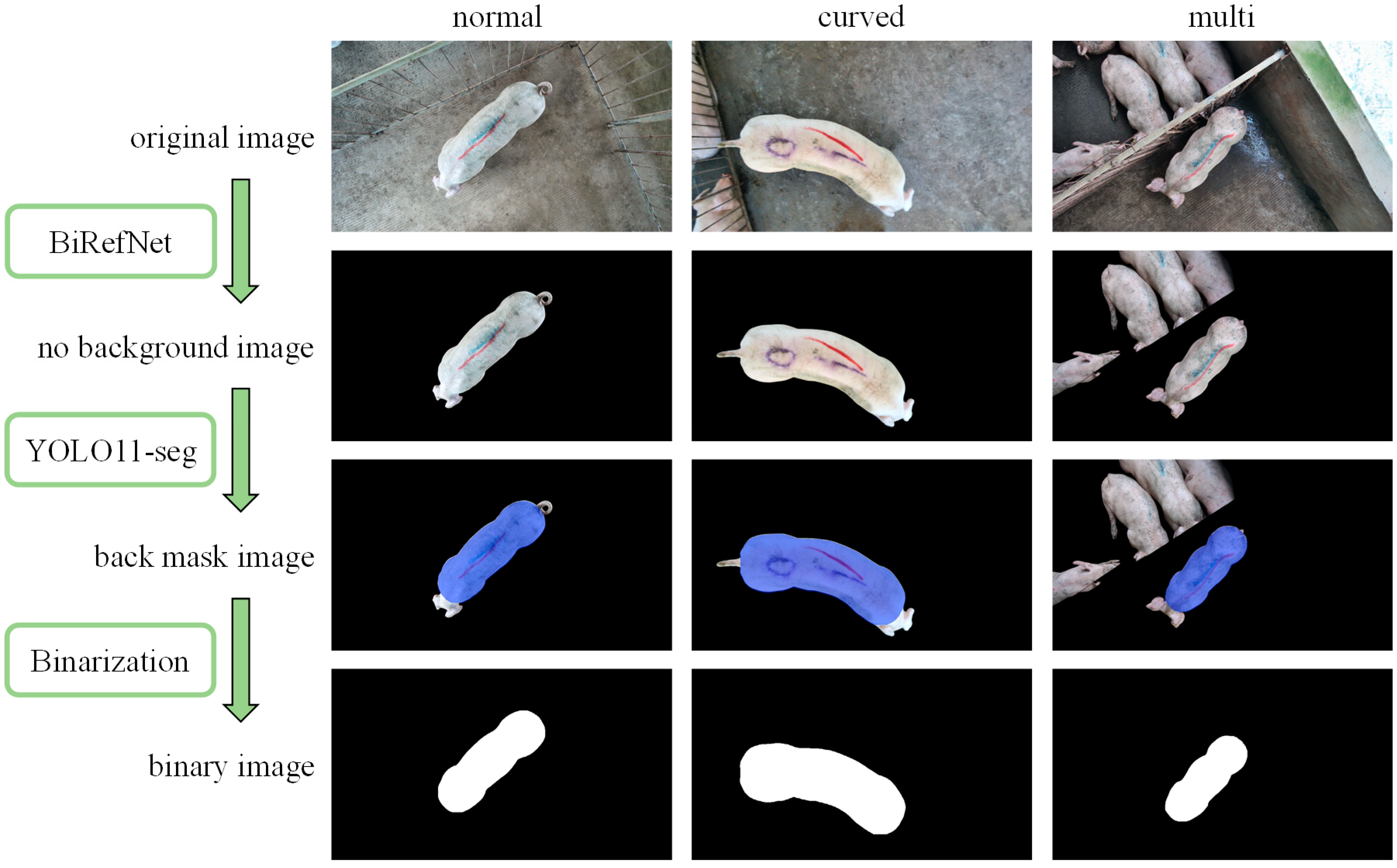 Animals 15 02975 g004