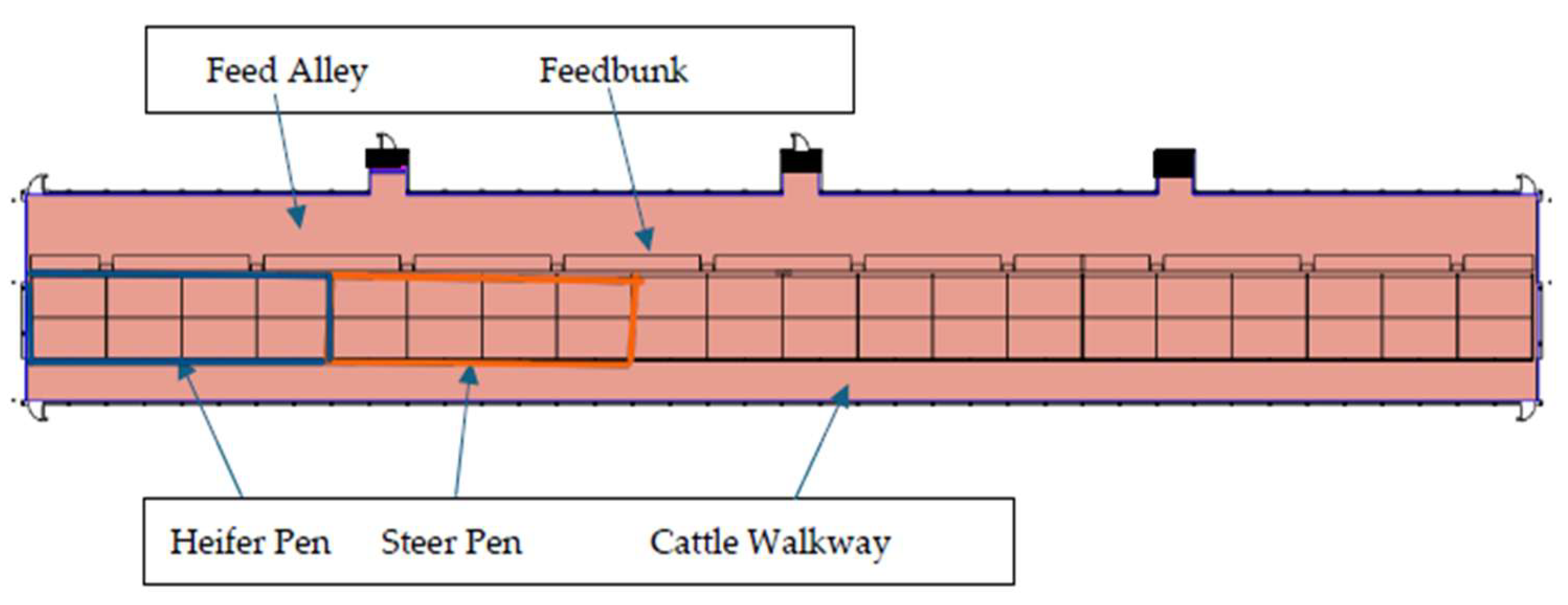 Animals 15 02978 g001