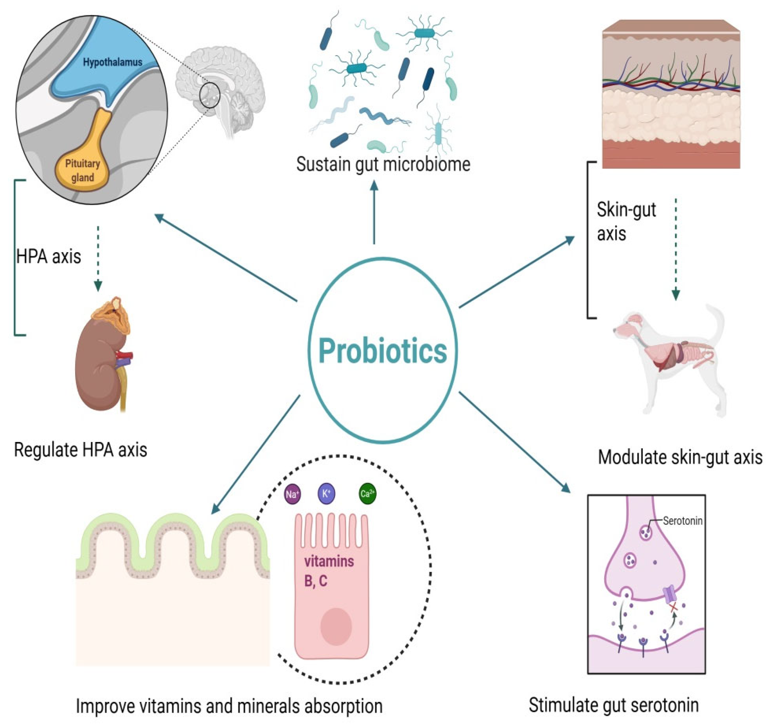 Animals 15 02986 g001 Animals 15 02986 g001