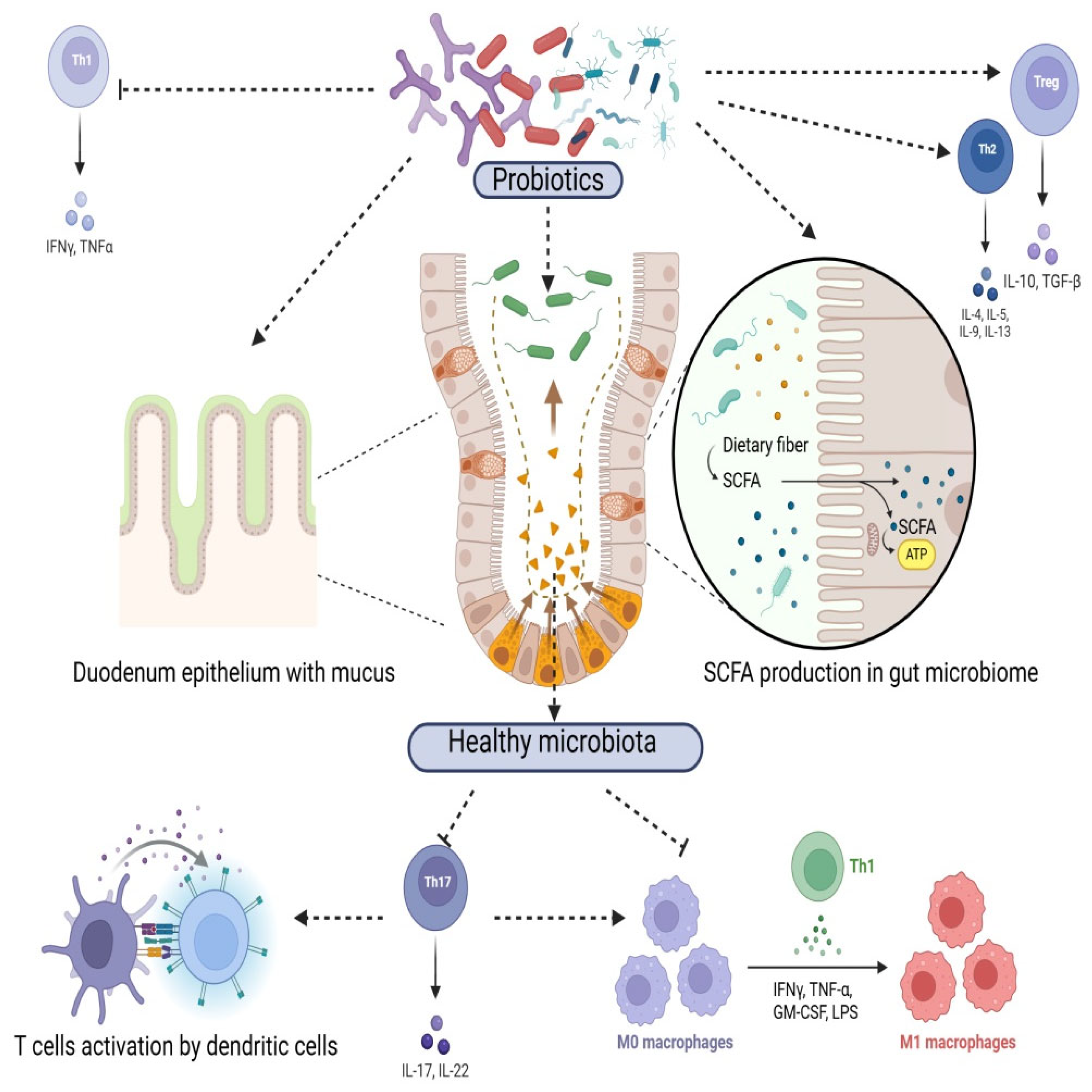 Animals 15 02986 g002 Animals 15 02986 g002