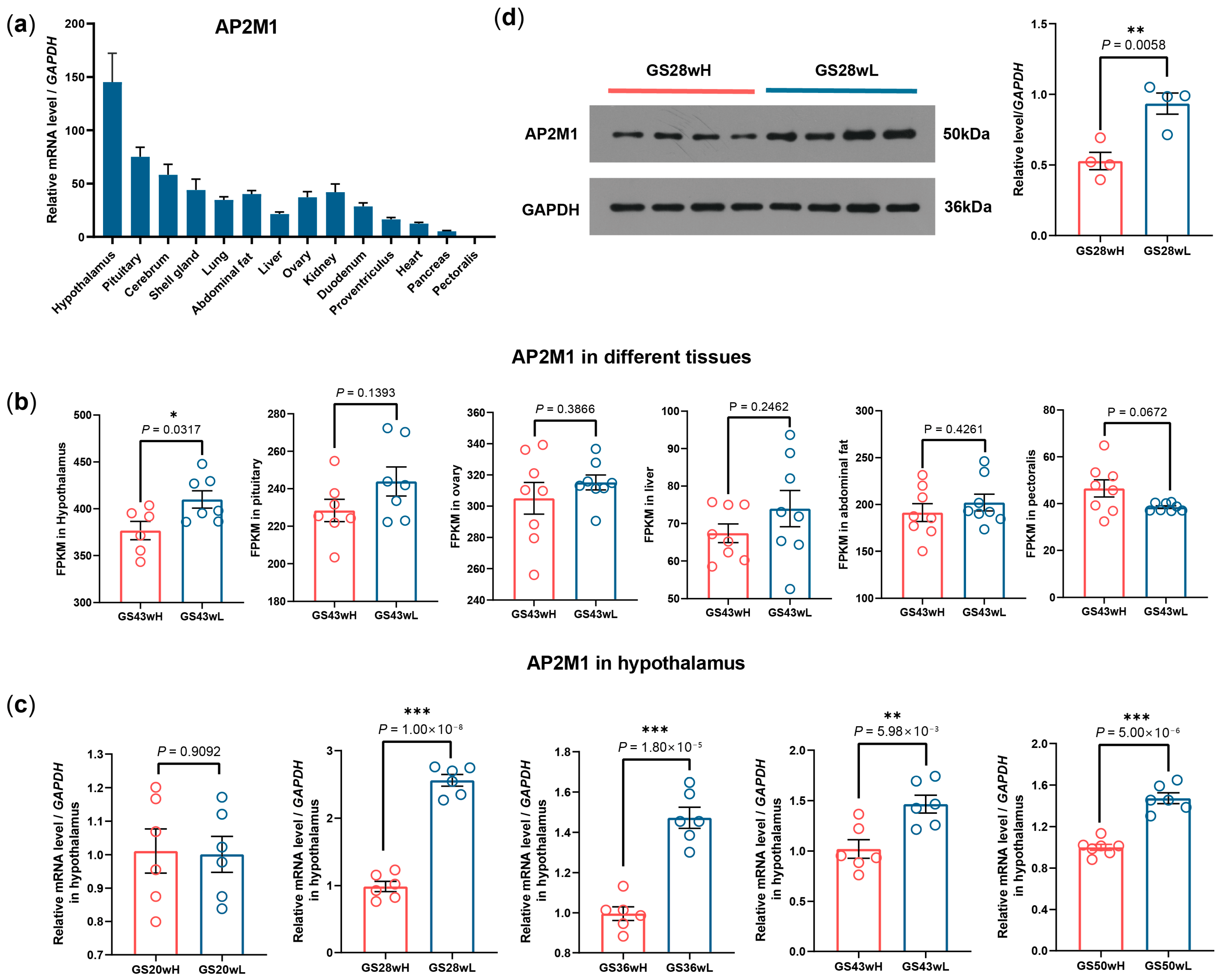 Animals 15 02990 g001
