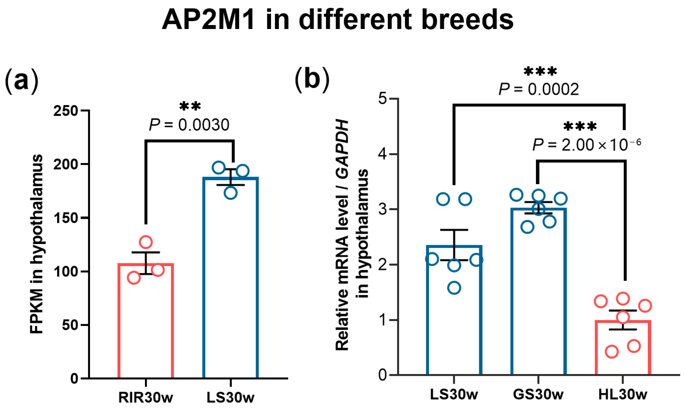 Animals 15 02990 g002