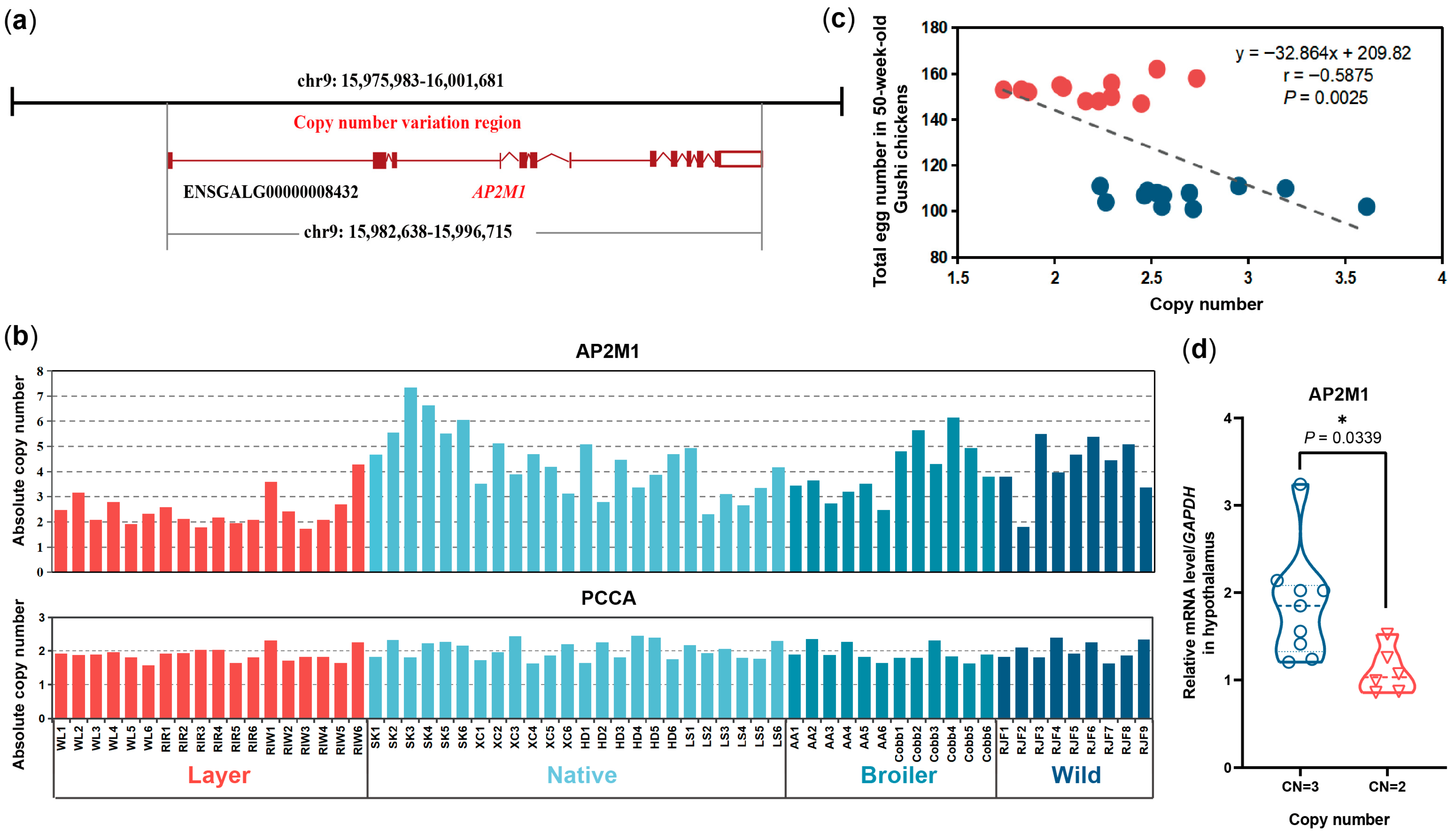 Animals 15 02990 g004