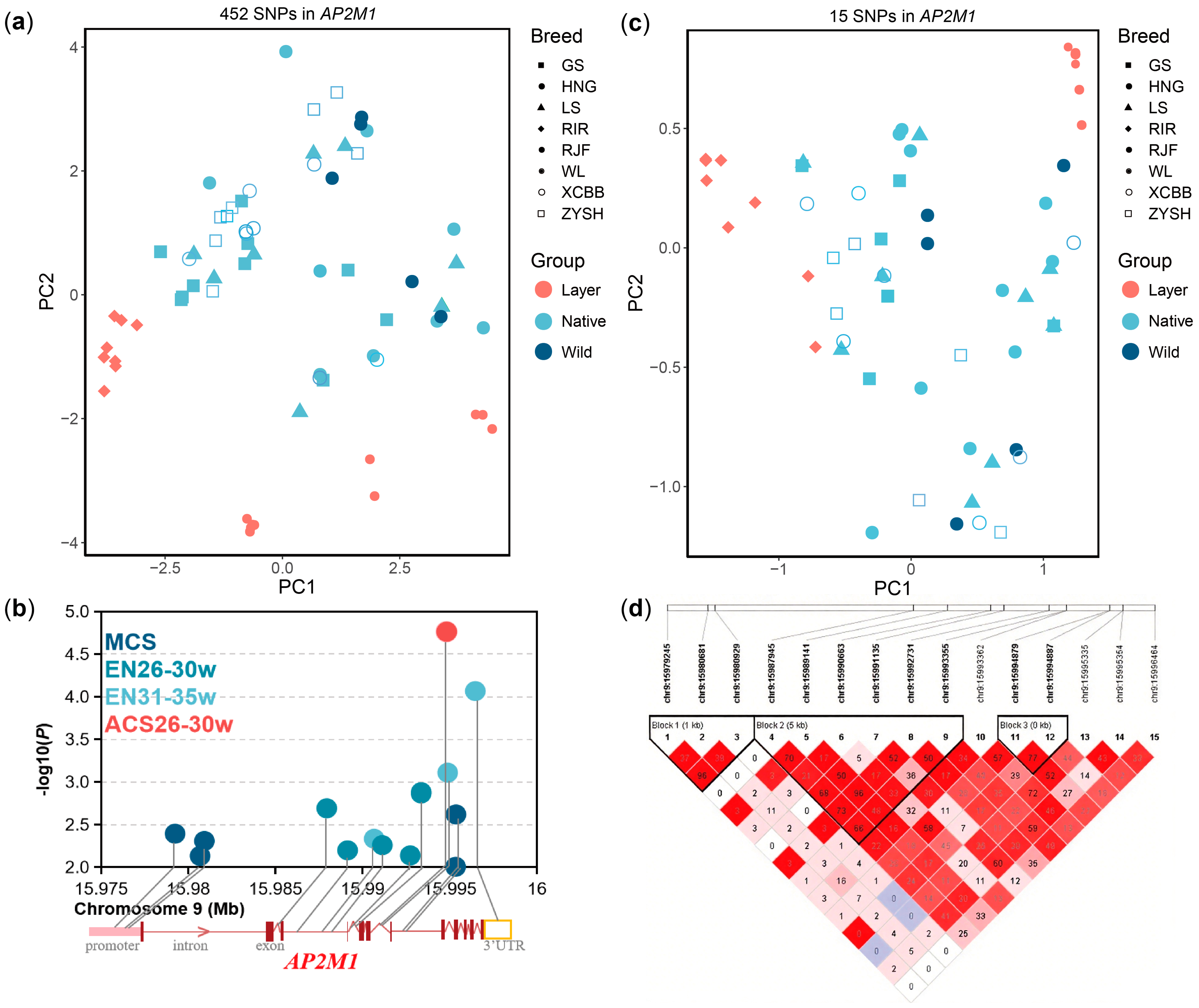 Animals 15 02990 g005