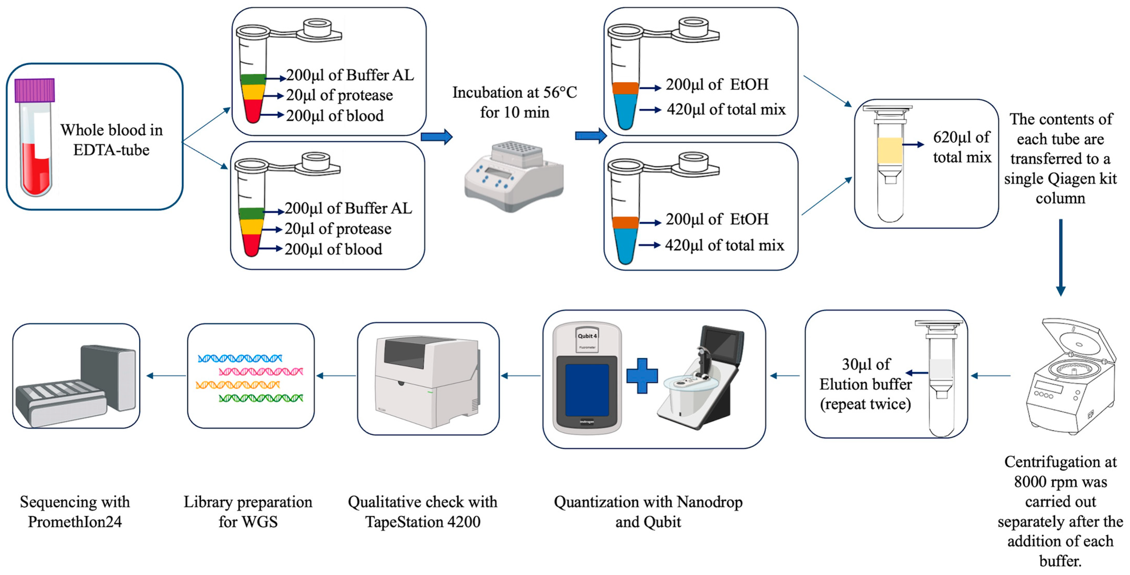 Animals 15 02991 g001