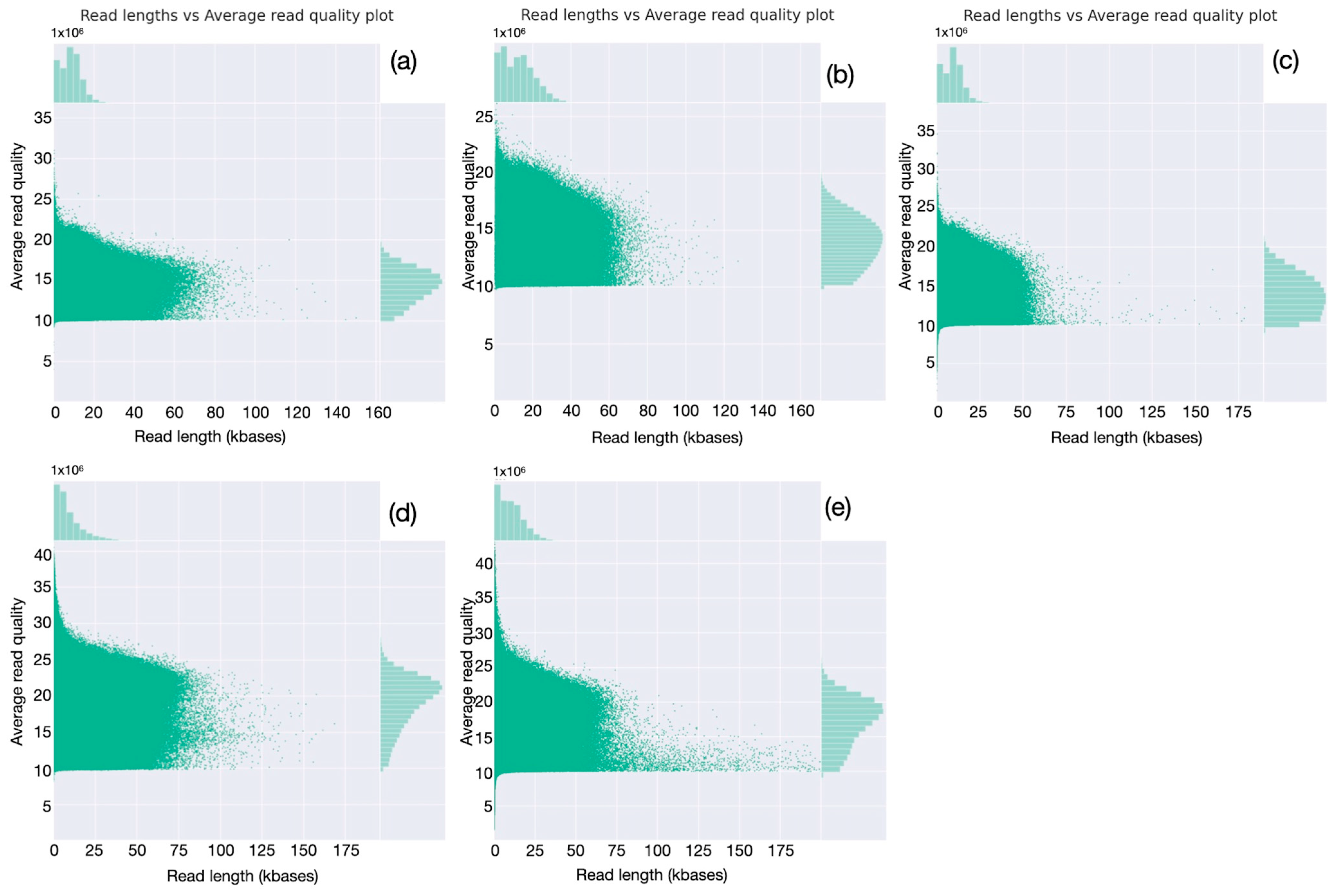 Animals 15 02991 g005