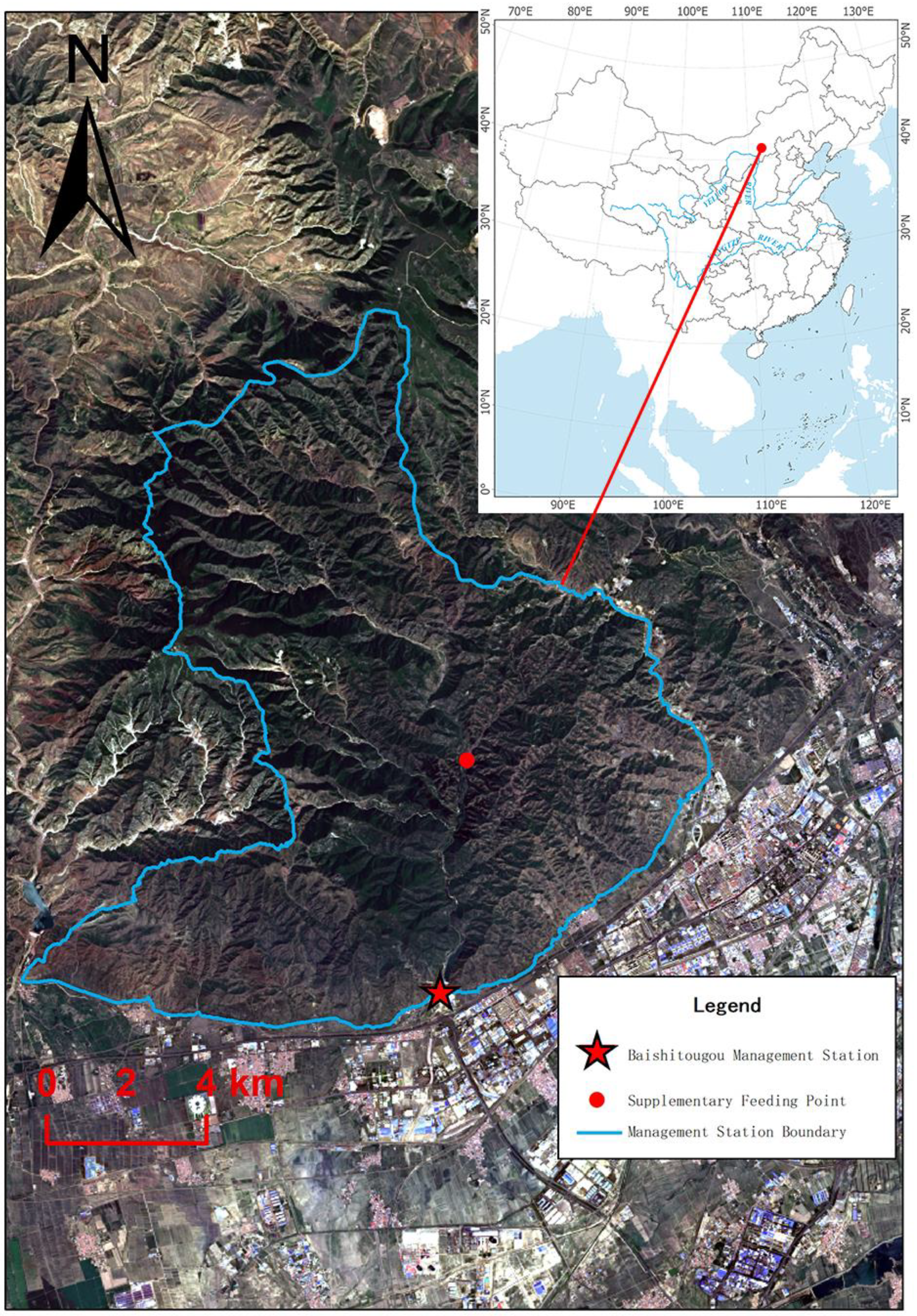 Animals 15 02993 g001