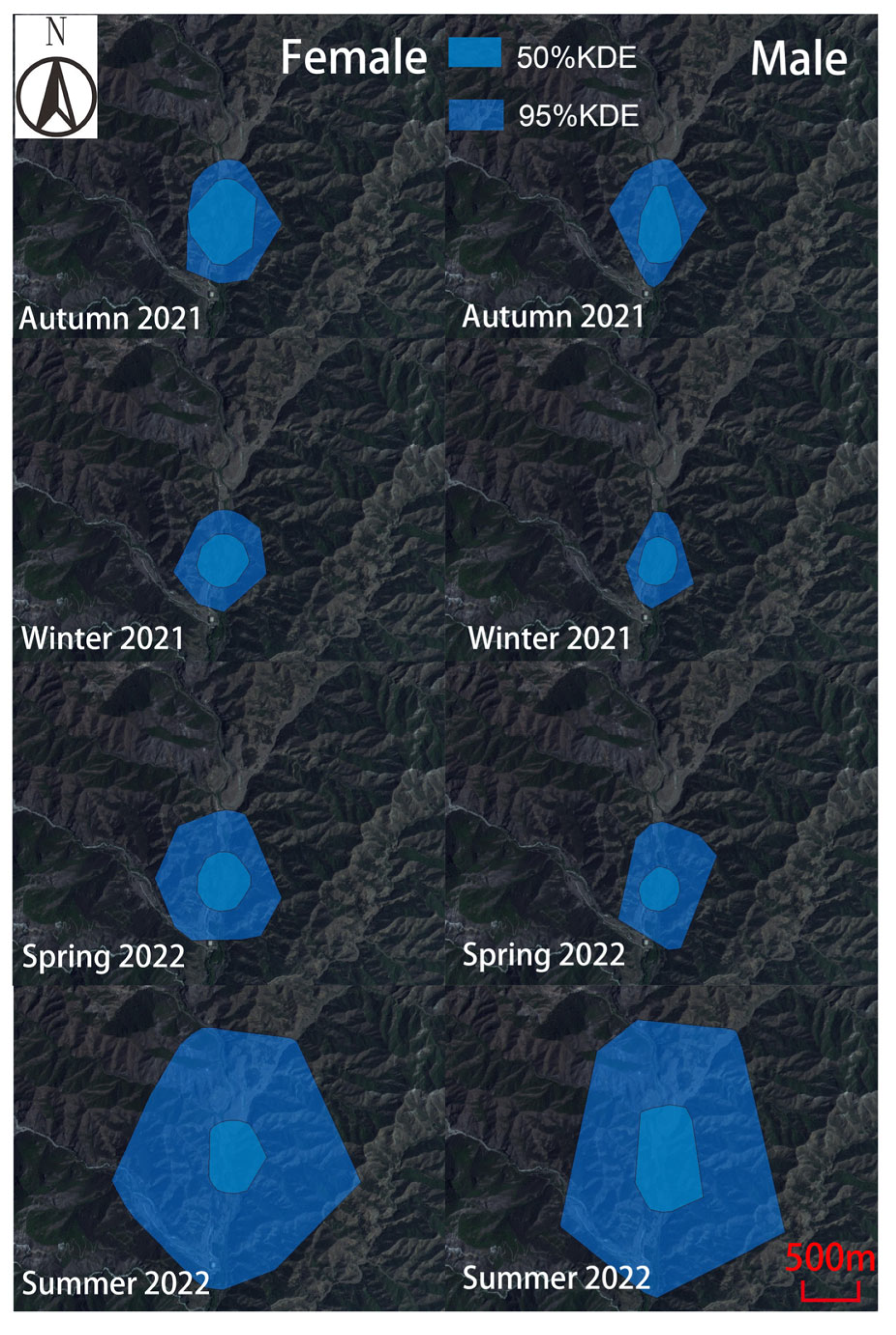 Animals 15 02993 g004