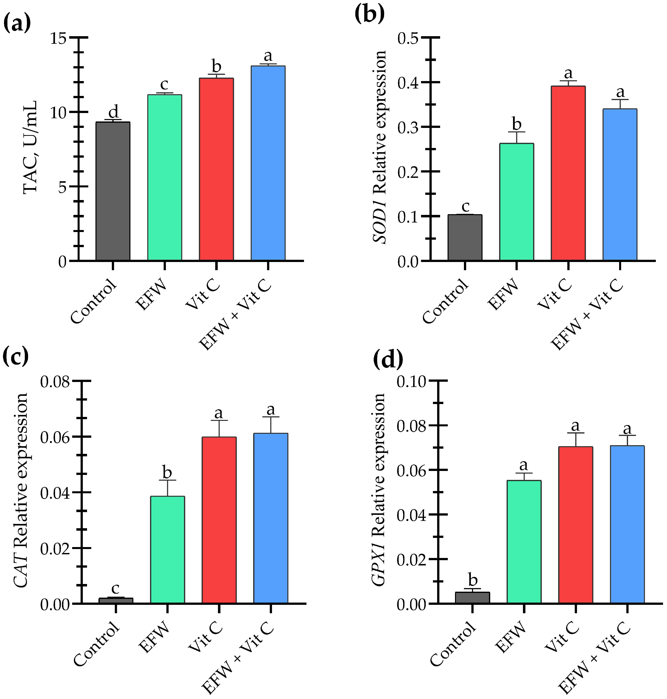 Animals 15 02996 g002