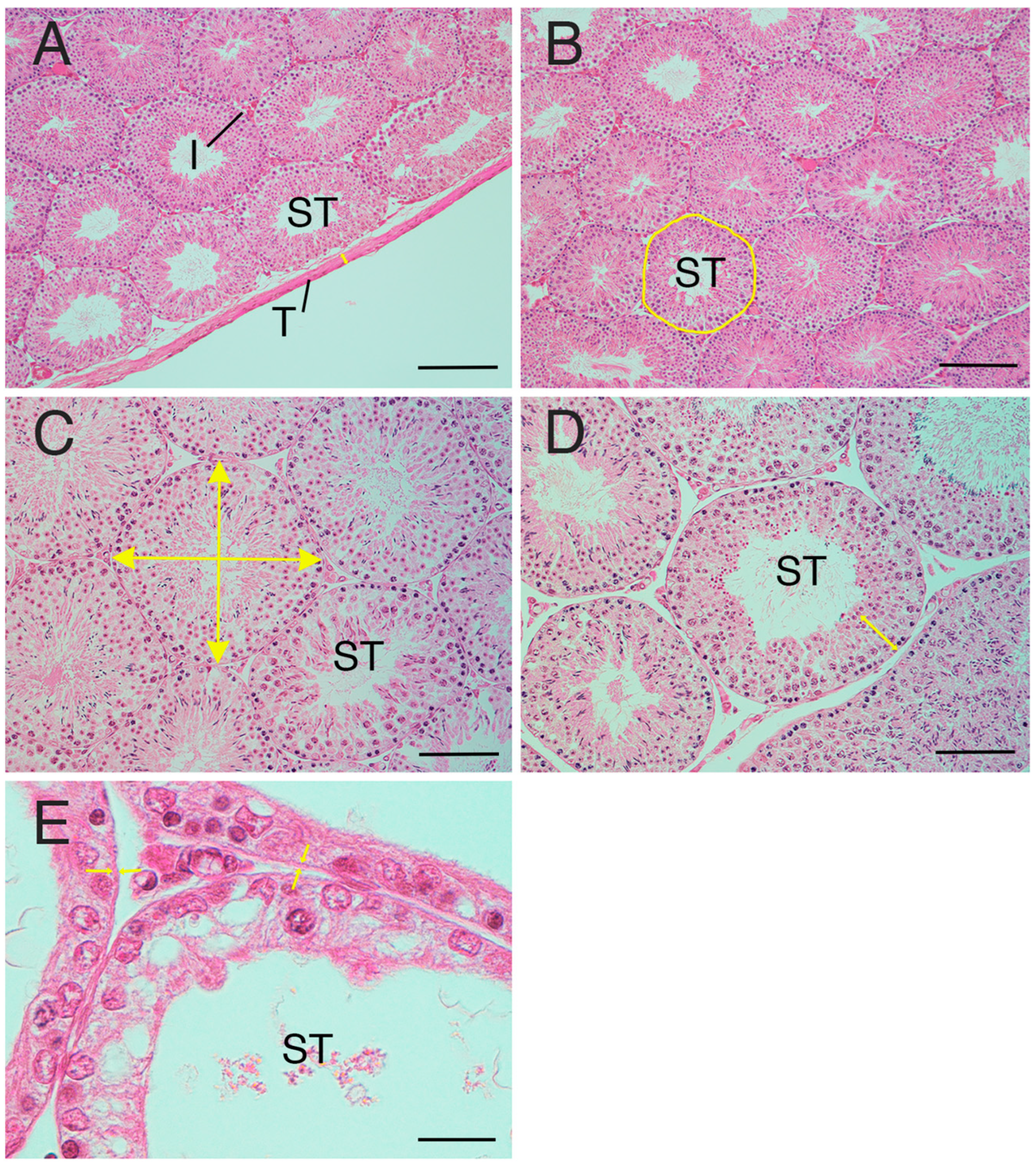 Animals 15 02999 g001