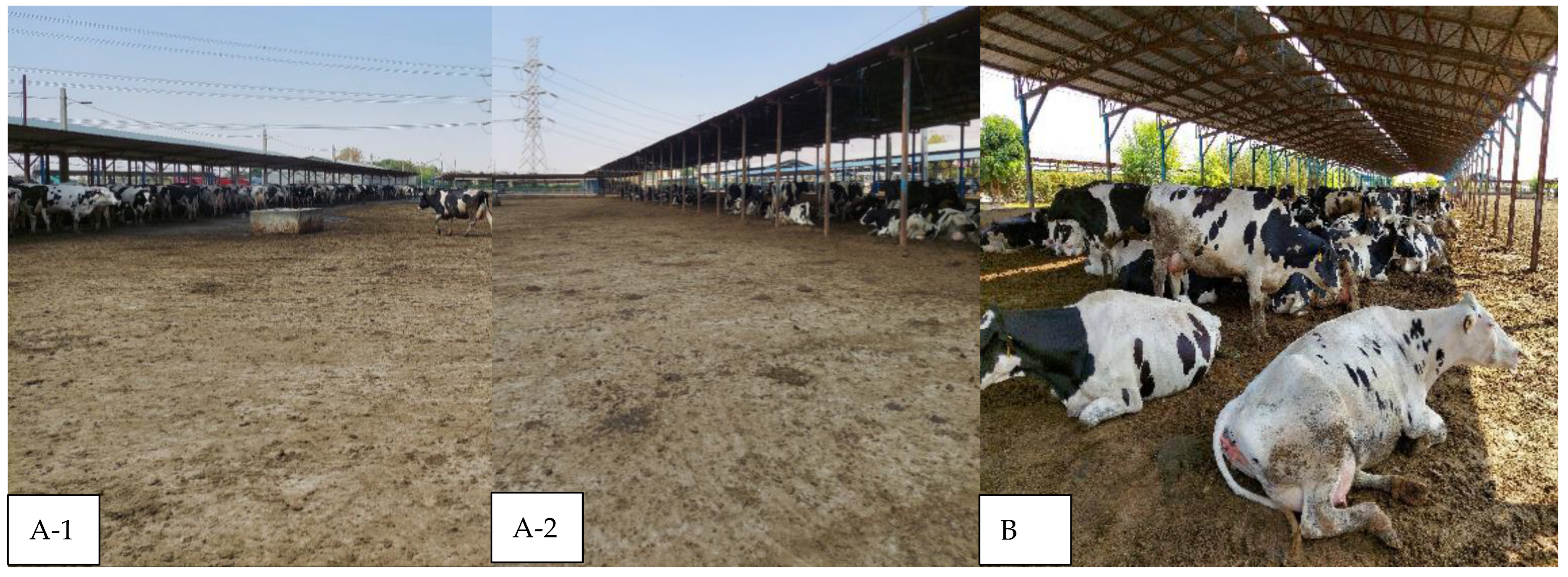 Animals 15 03001 g004 Animals 15 03001 g004