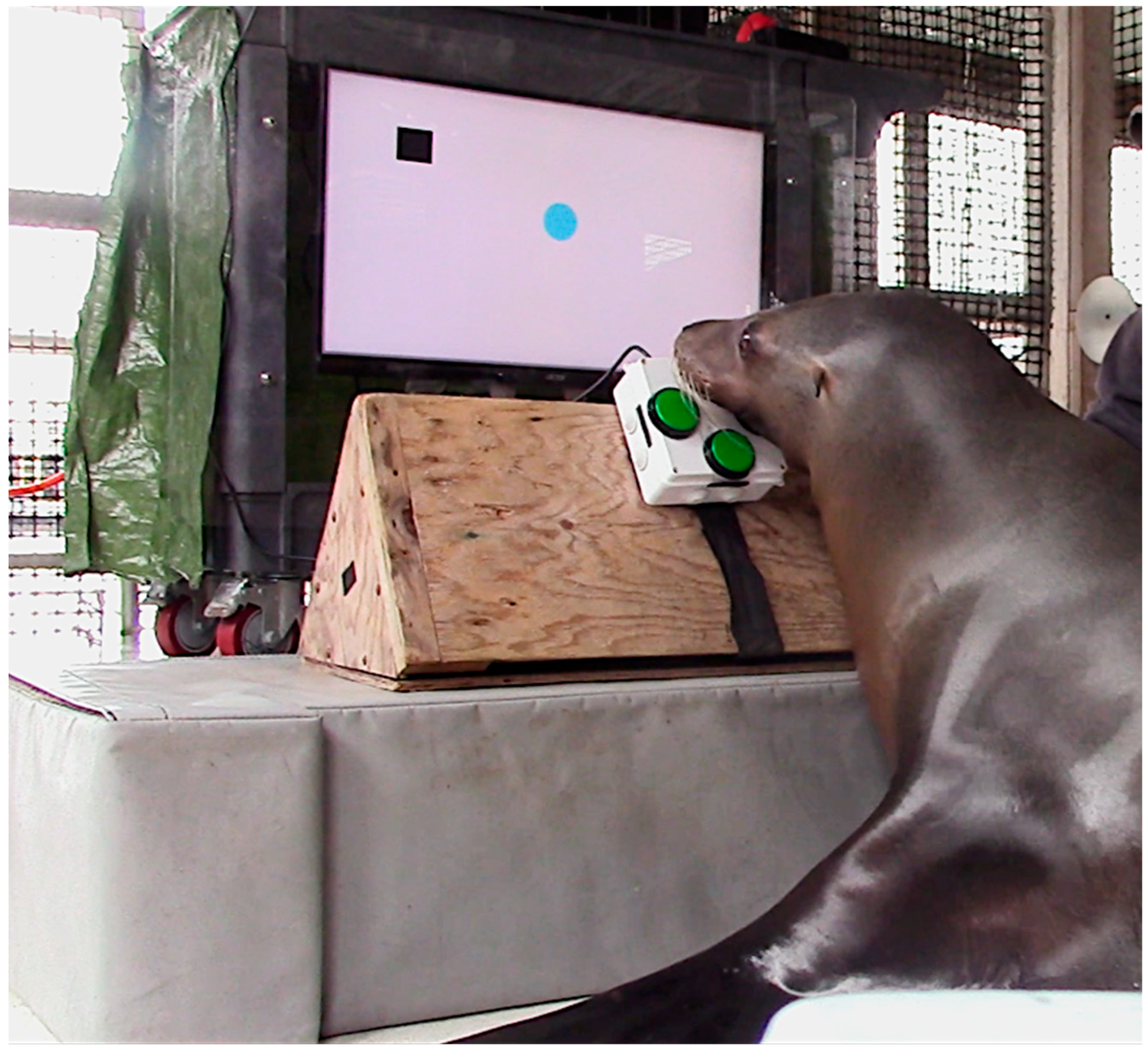 Animals 15 03007 g001