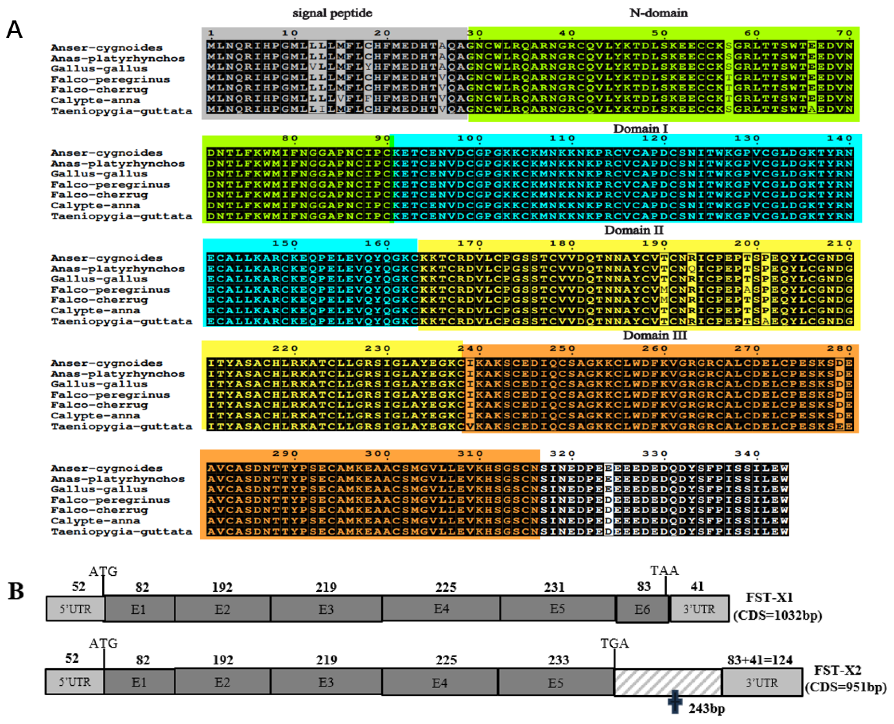 Animals 15 03009 g002