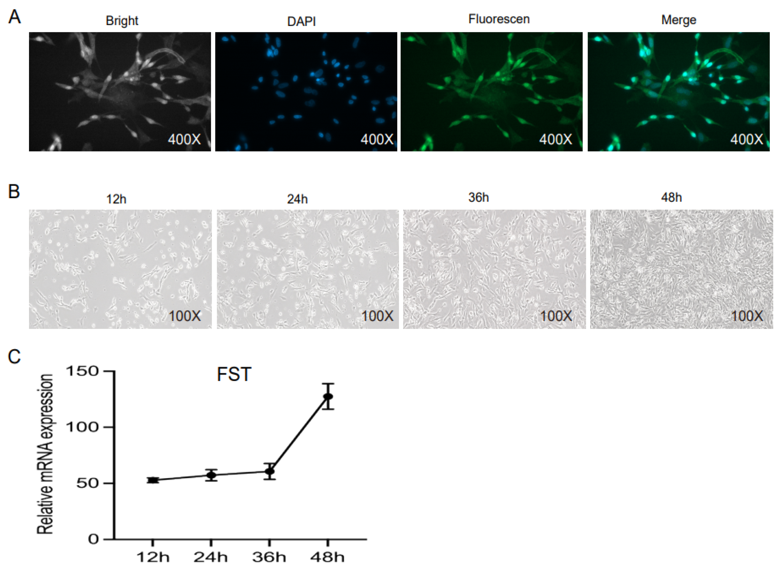 Animals 15 03009 g004