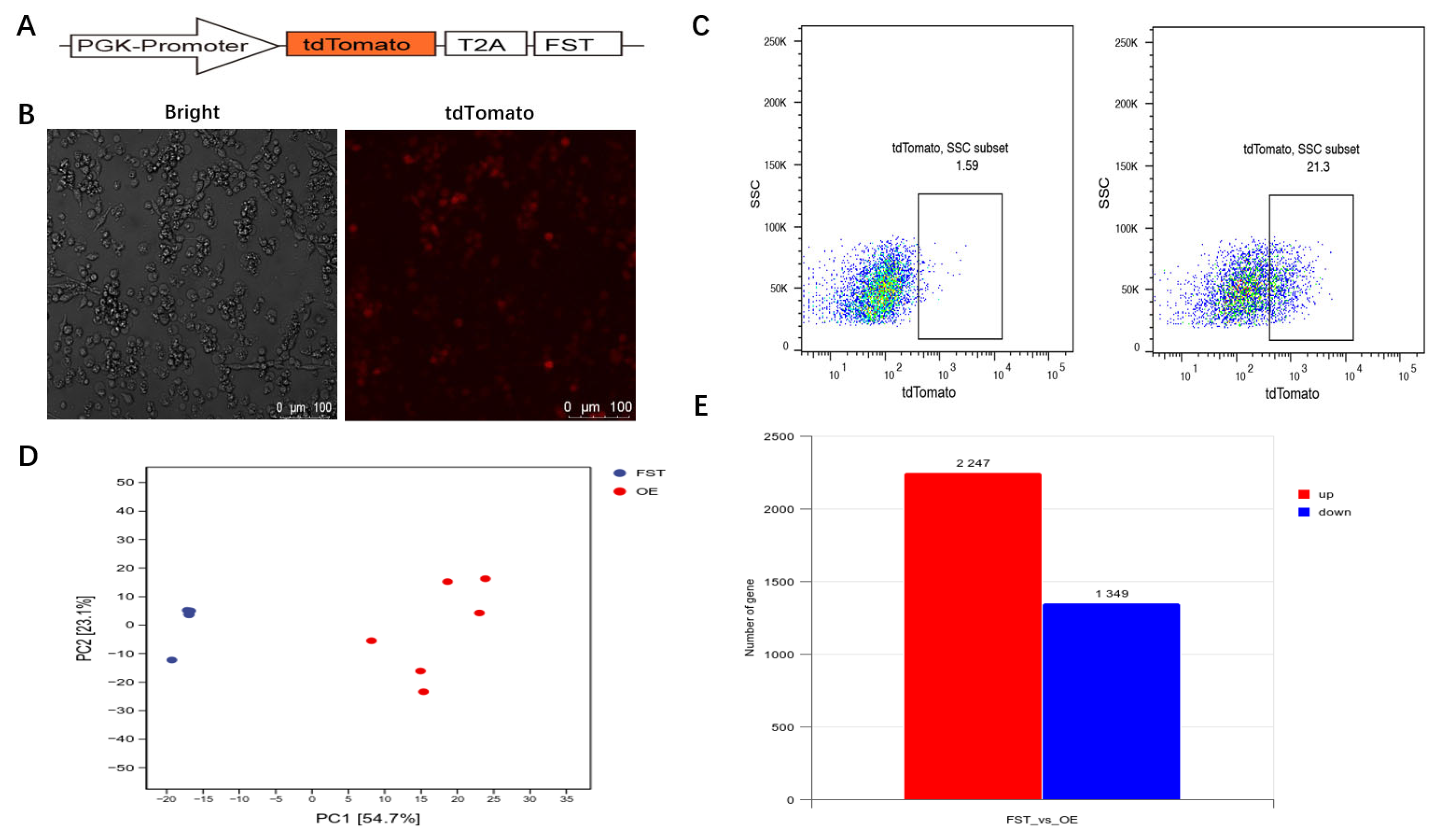 Animals 15 03009 g005