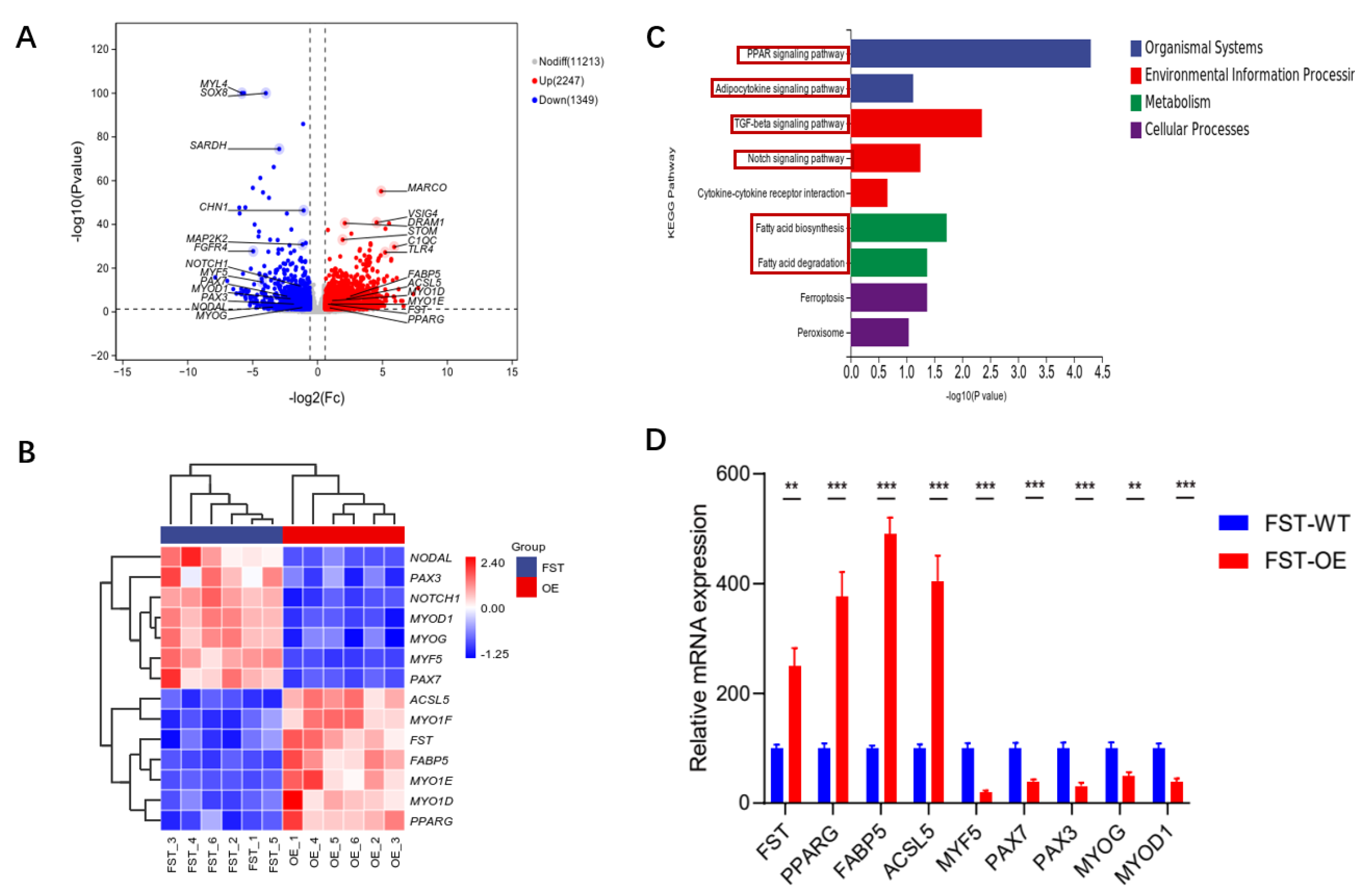 Animals 15 03009 g006