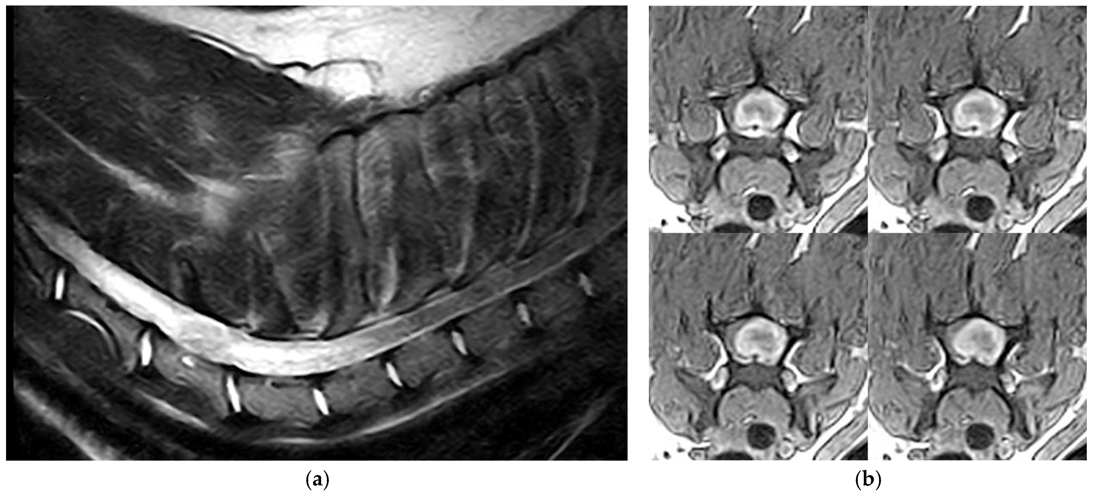 Animals 15 03010 g001a