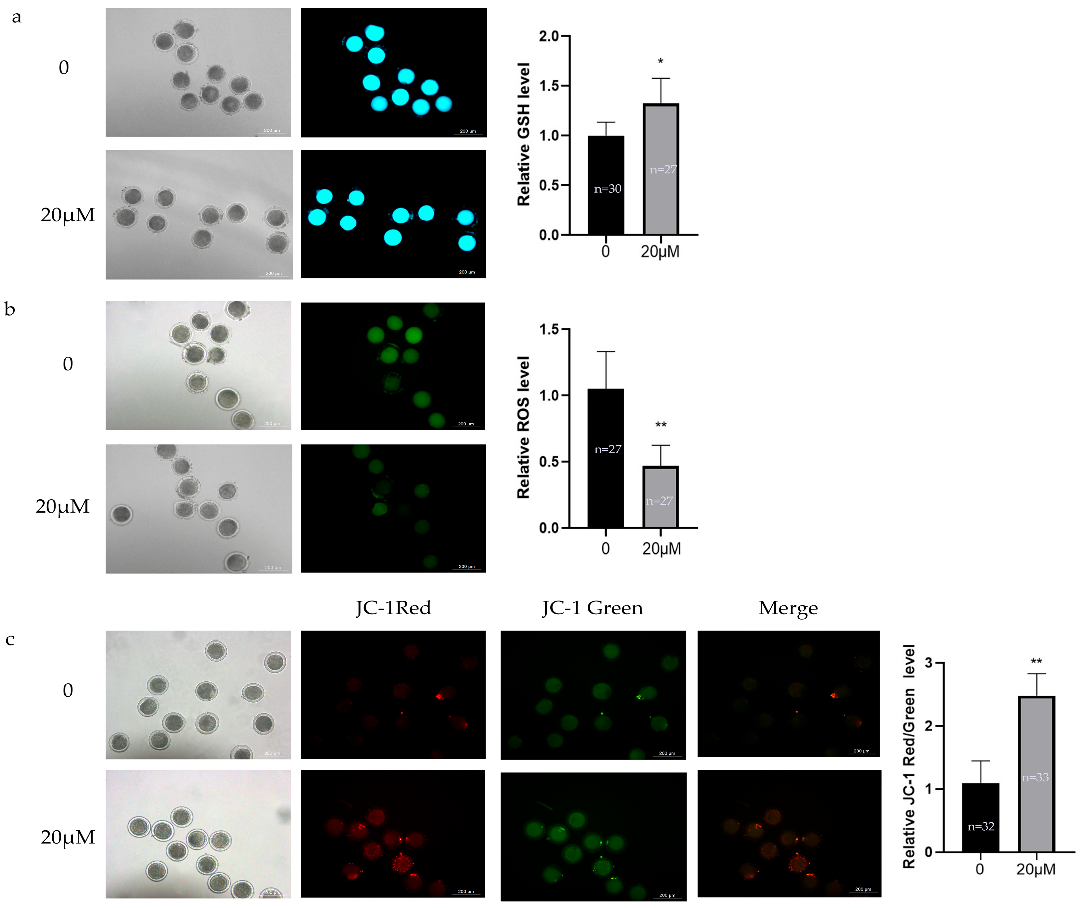 Animals 15 03011 g002