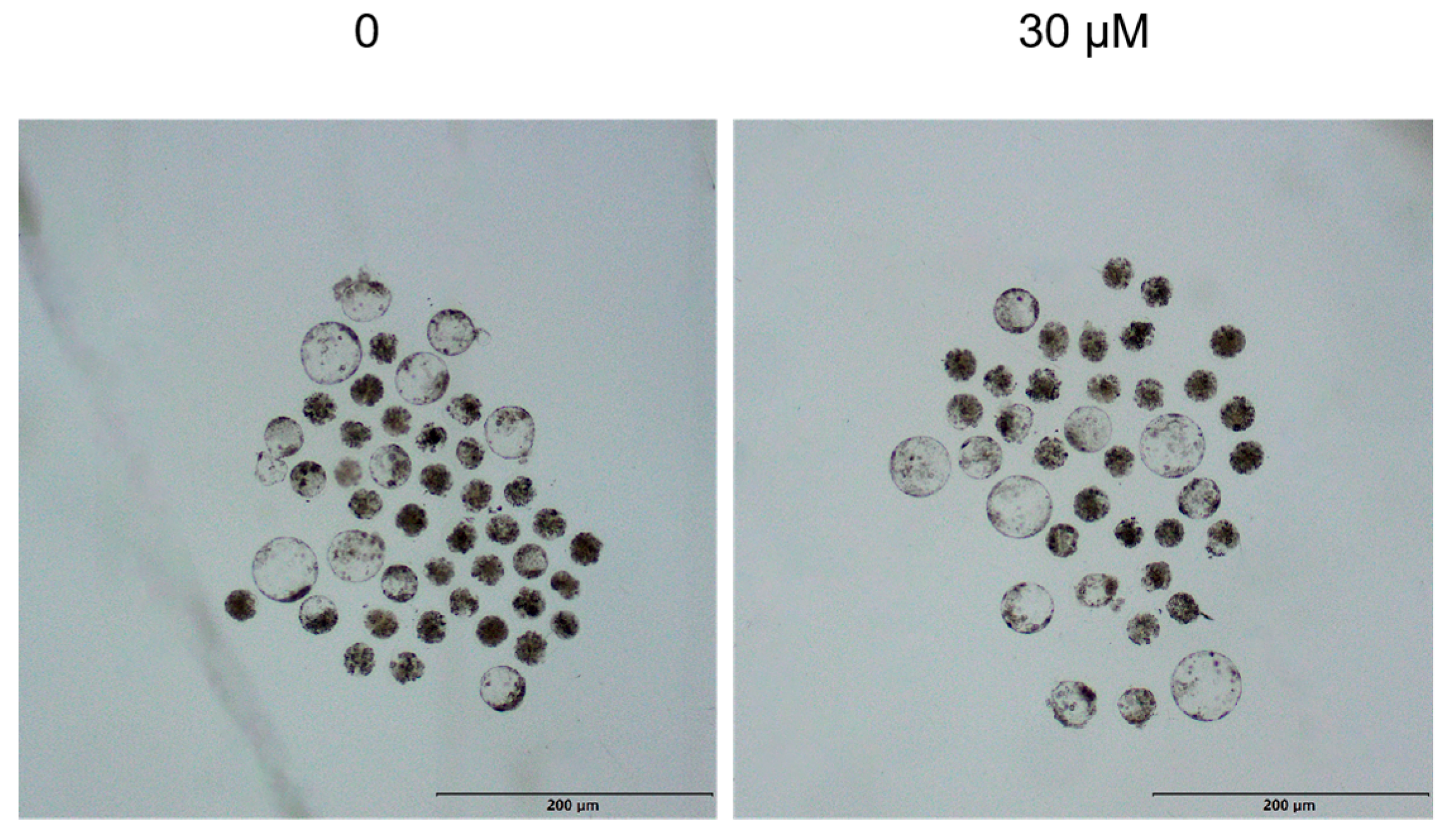 Animals 15 03011 g004