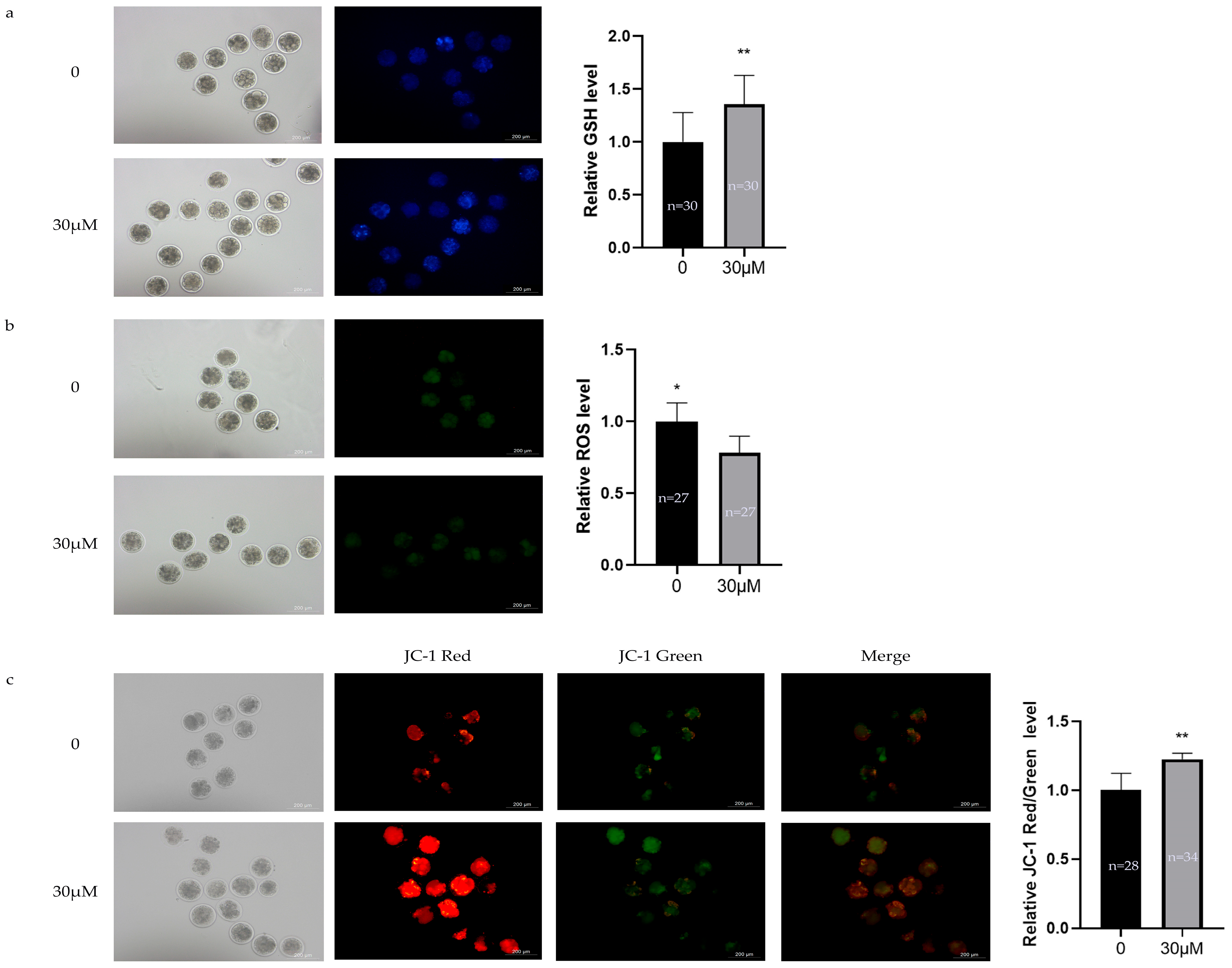 Animals 15 03011 g005